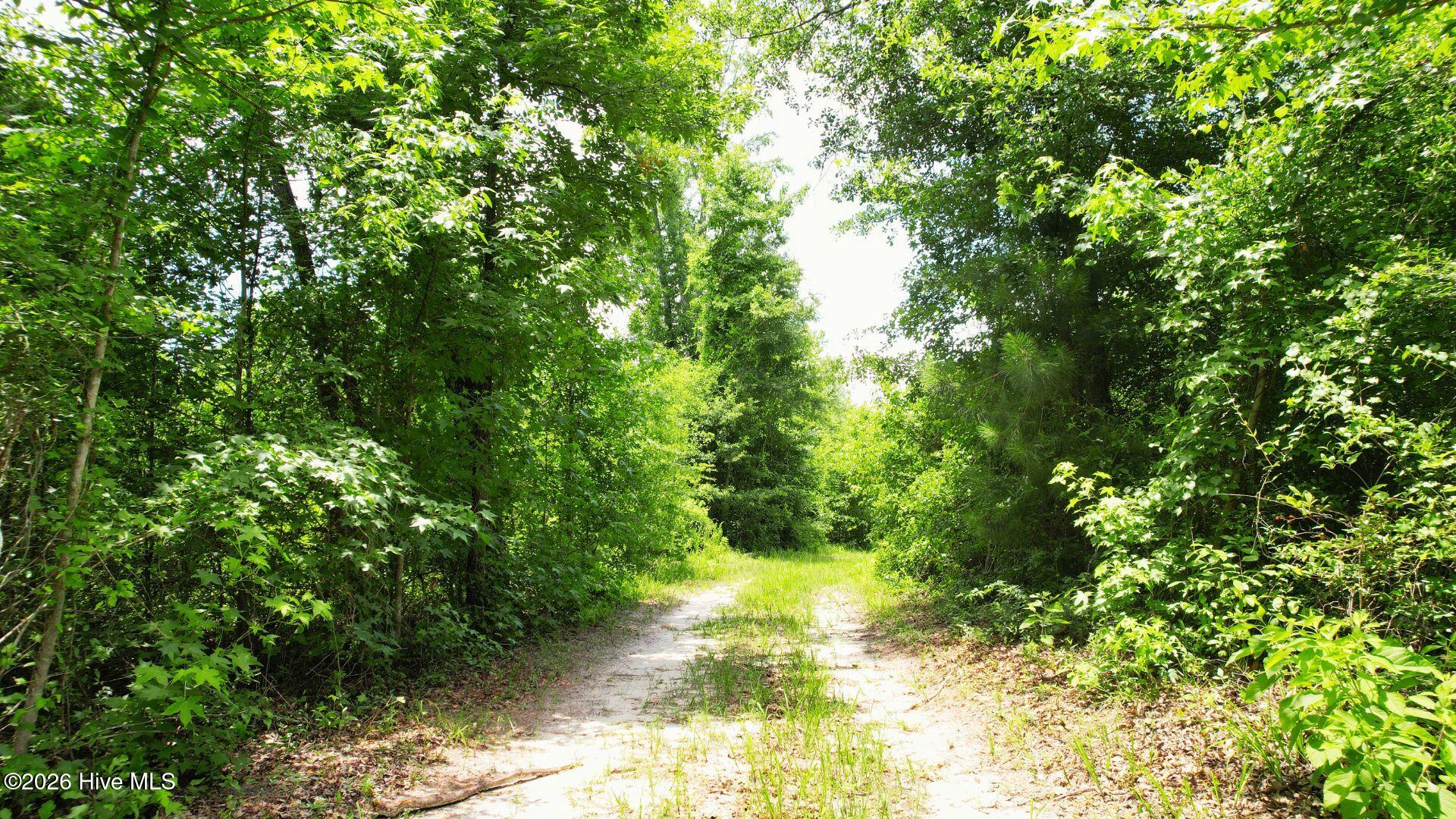 1110 Ga-88 Property Photo 24