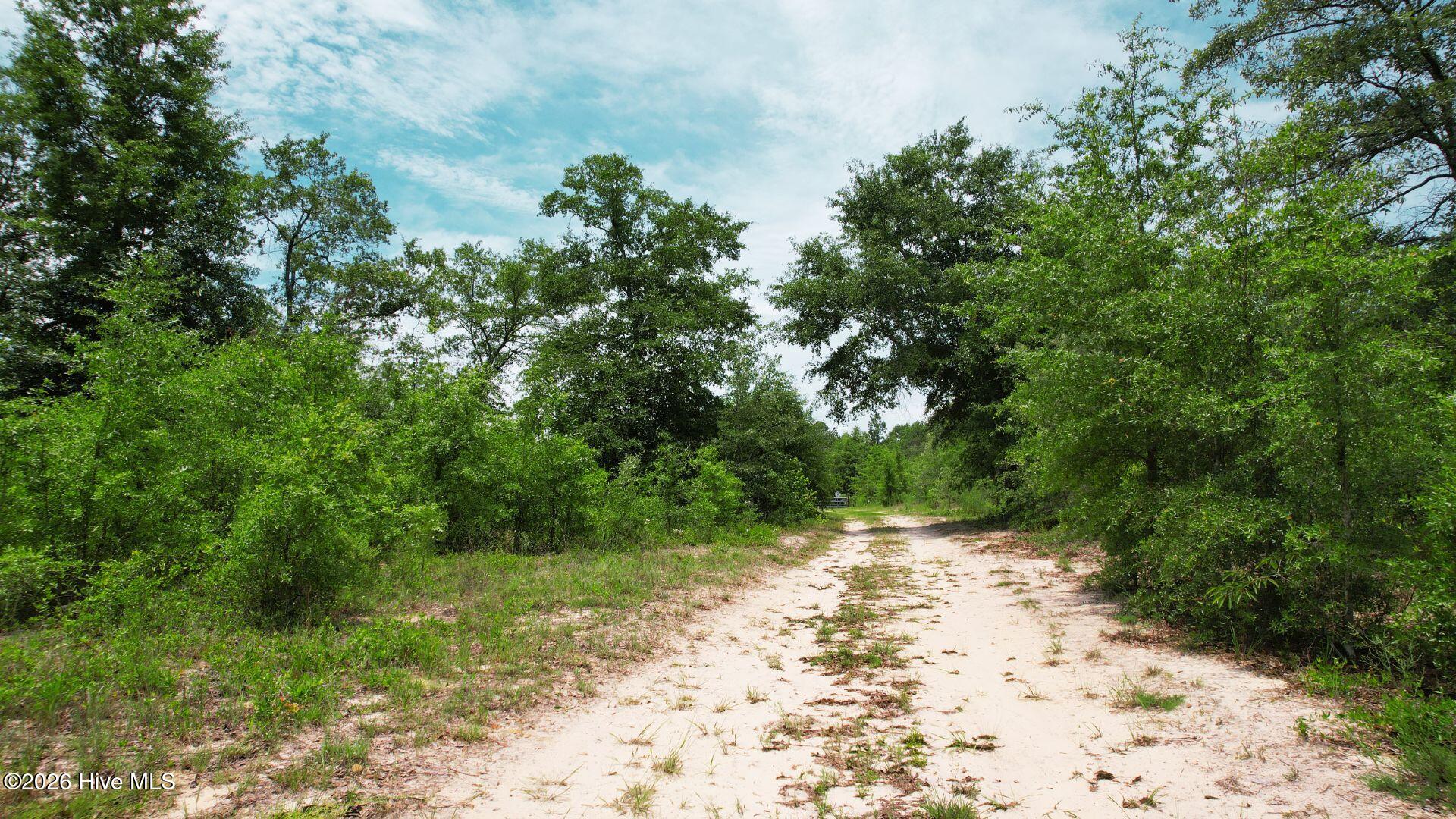 1110 Ga-88 Property Photo 25