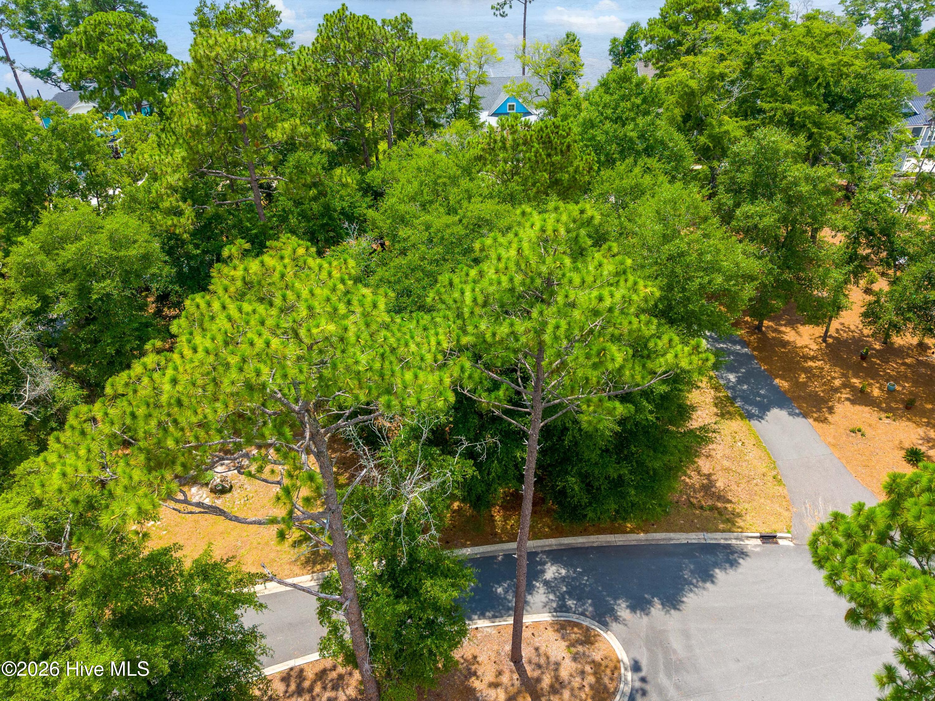 3627 208 White Cliffs Drive Property Photo 5