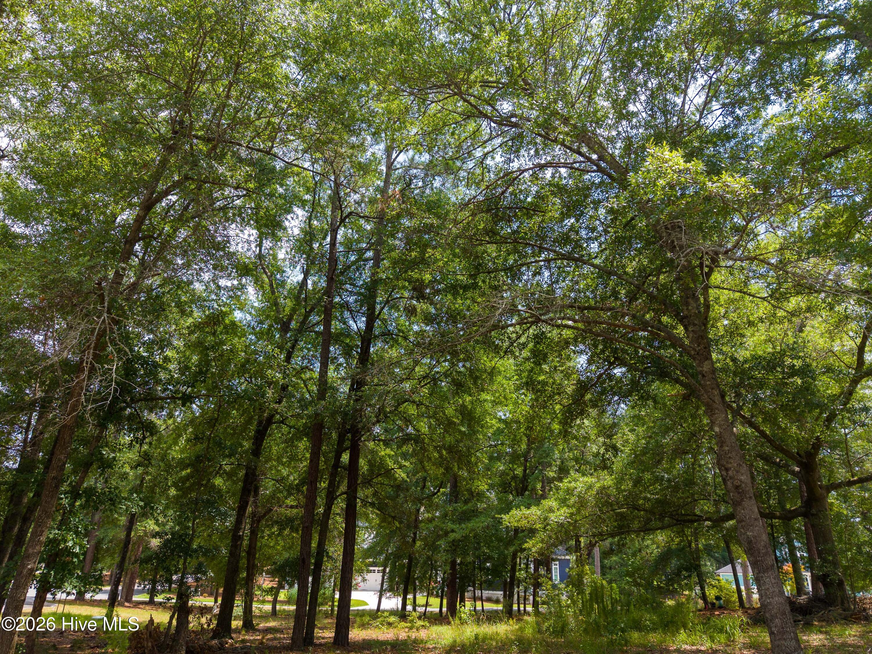 3627 208 White Cliffs Drive Property Photo 11