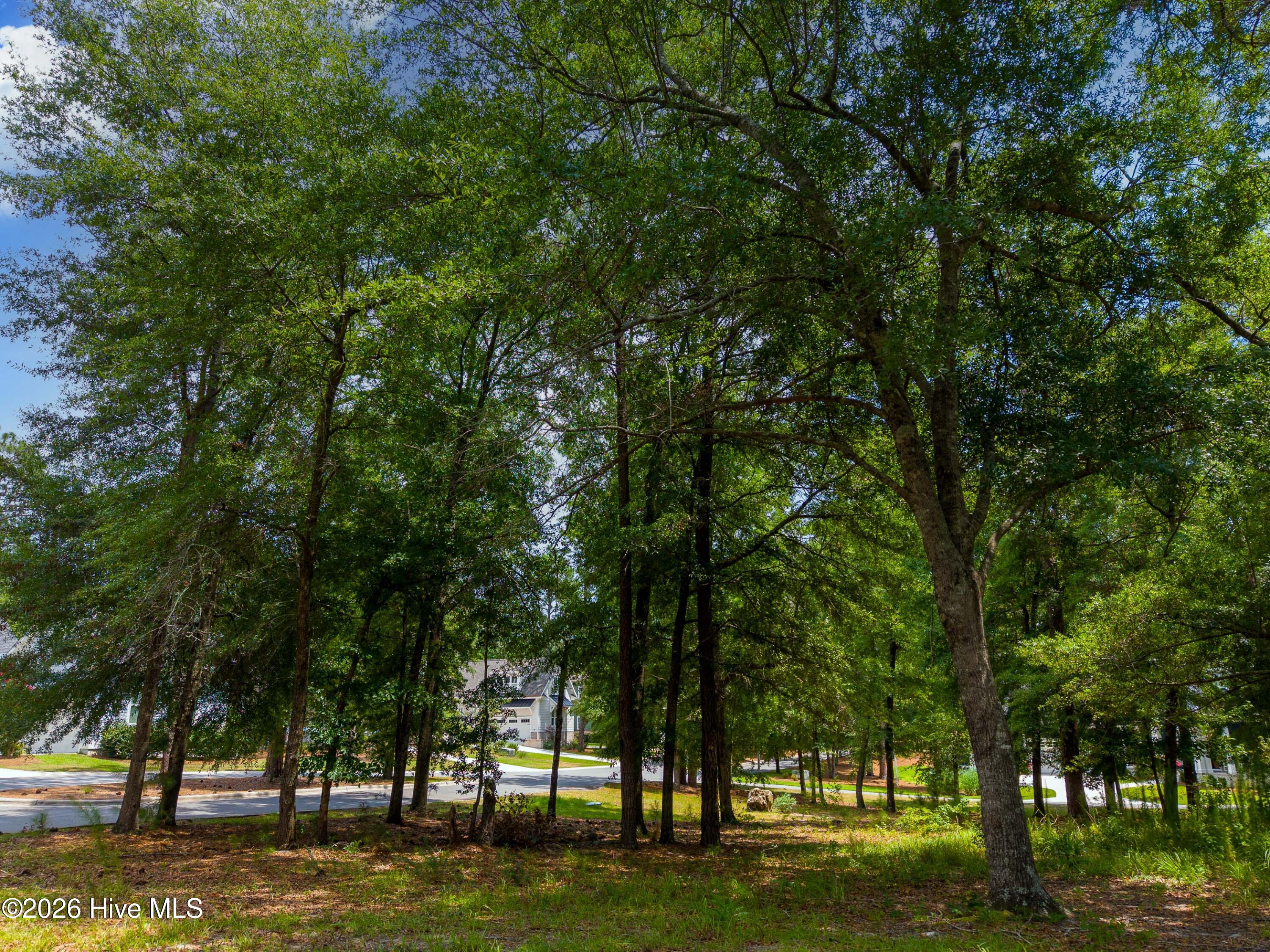 3627 208 White Cliffs Drive Property Photo 12