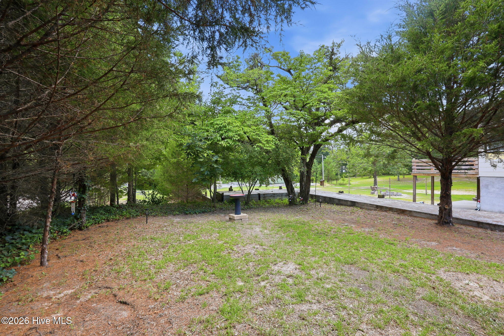 4228 Vass Carthage Road Property Photo 33