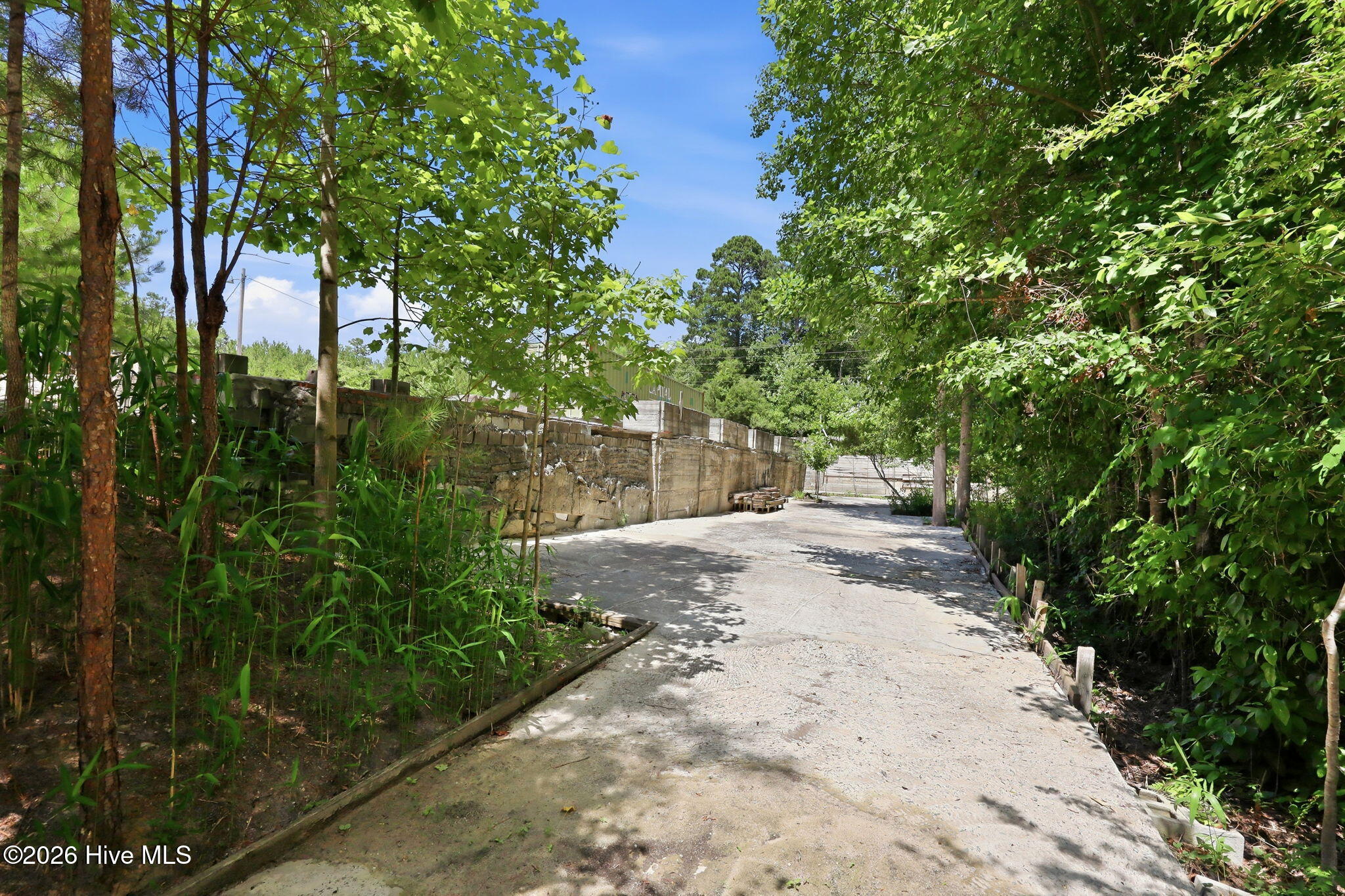 4228 Vass Carthage Road Property Photo 37