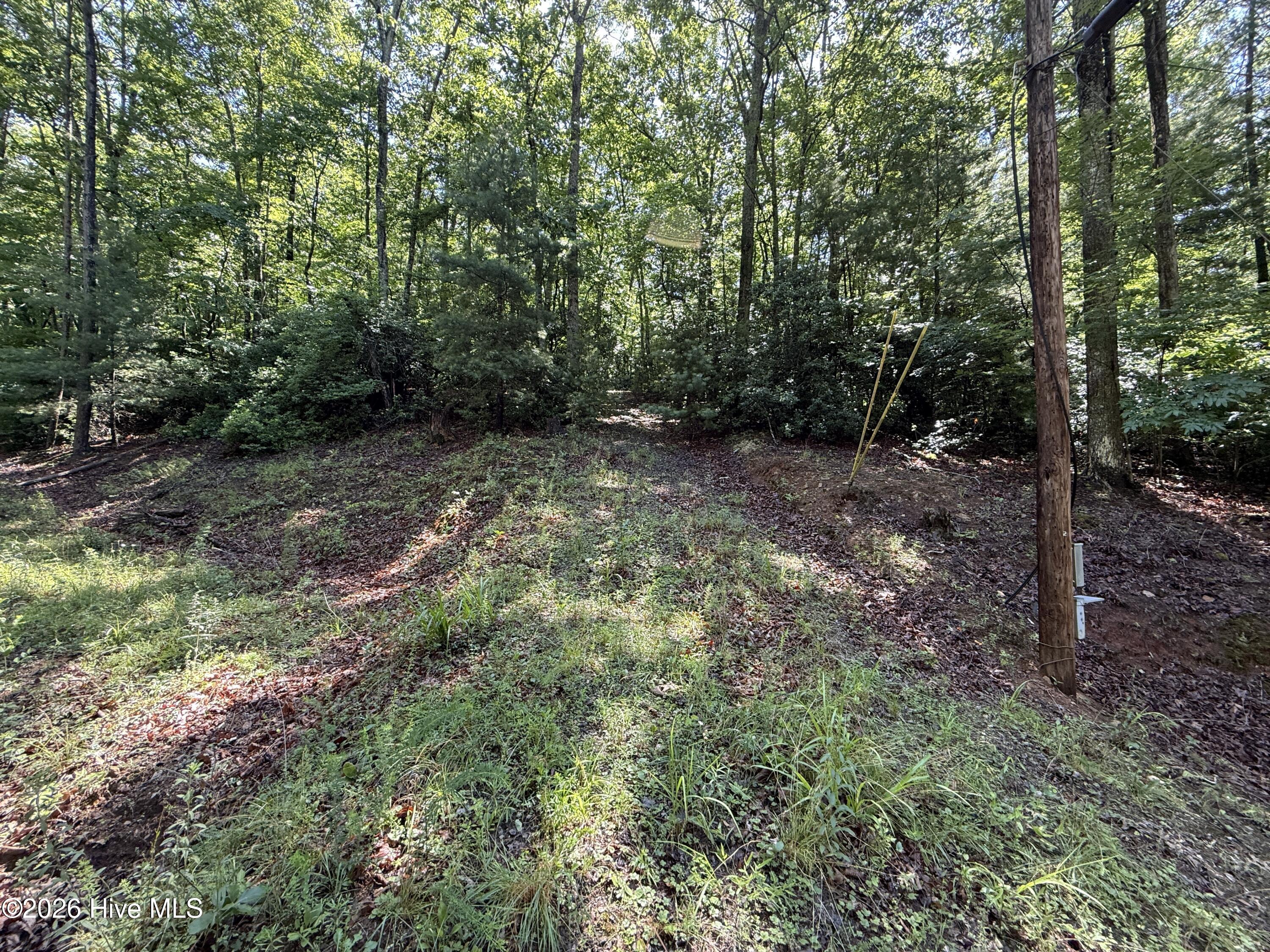 81 81D Roberts Road