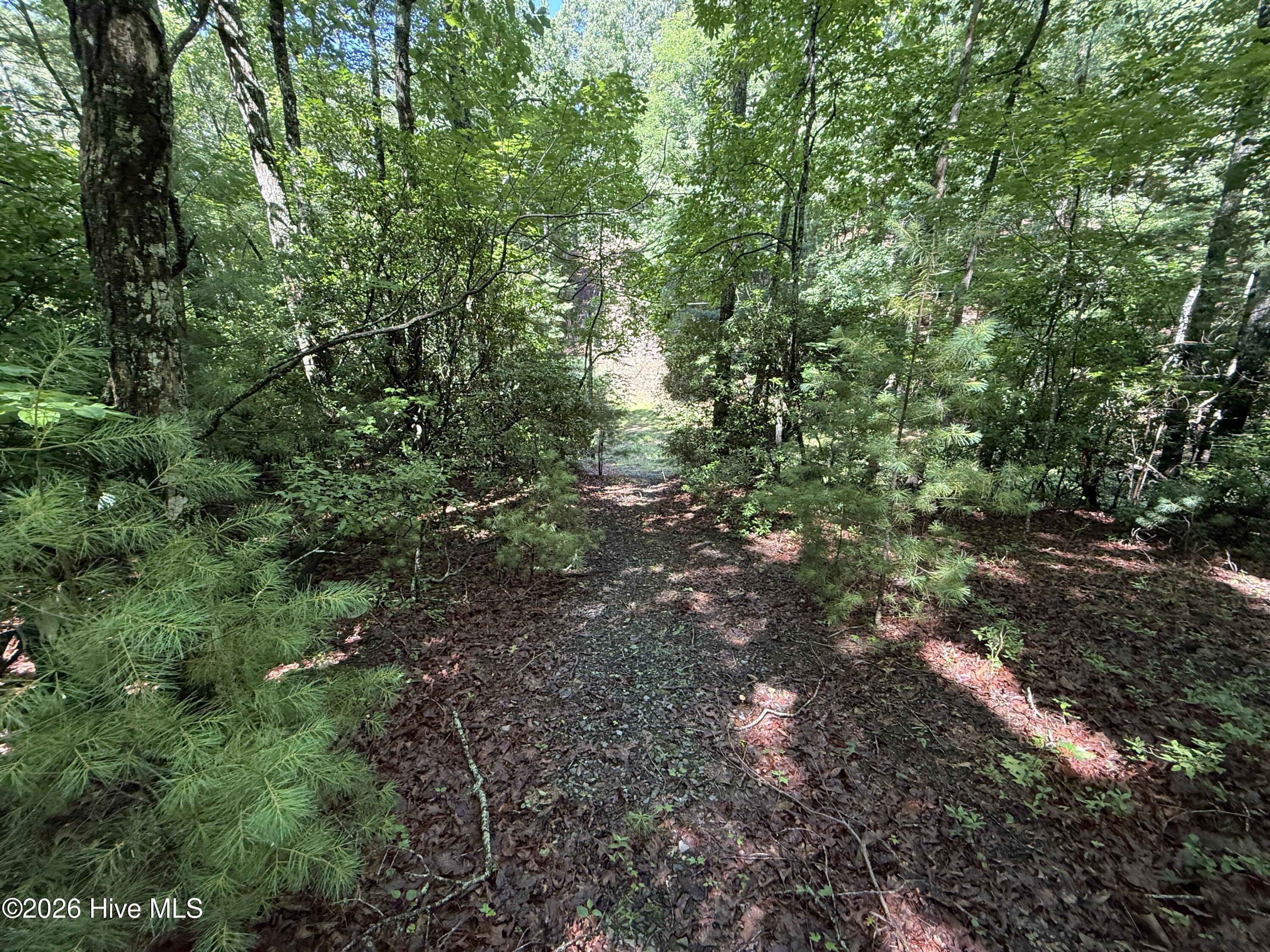 81 81d Roberts Road Property Photo 3