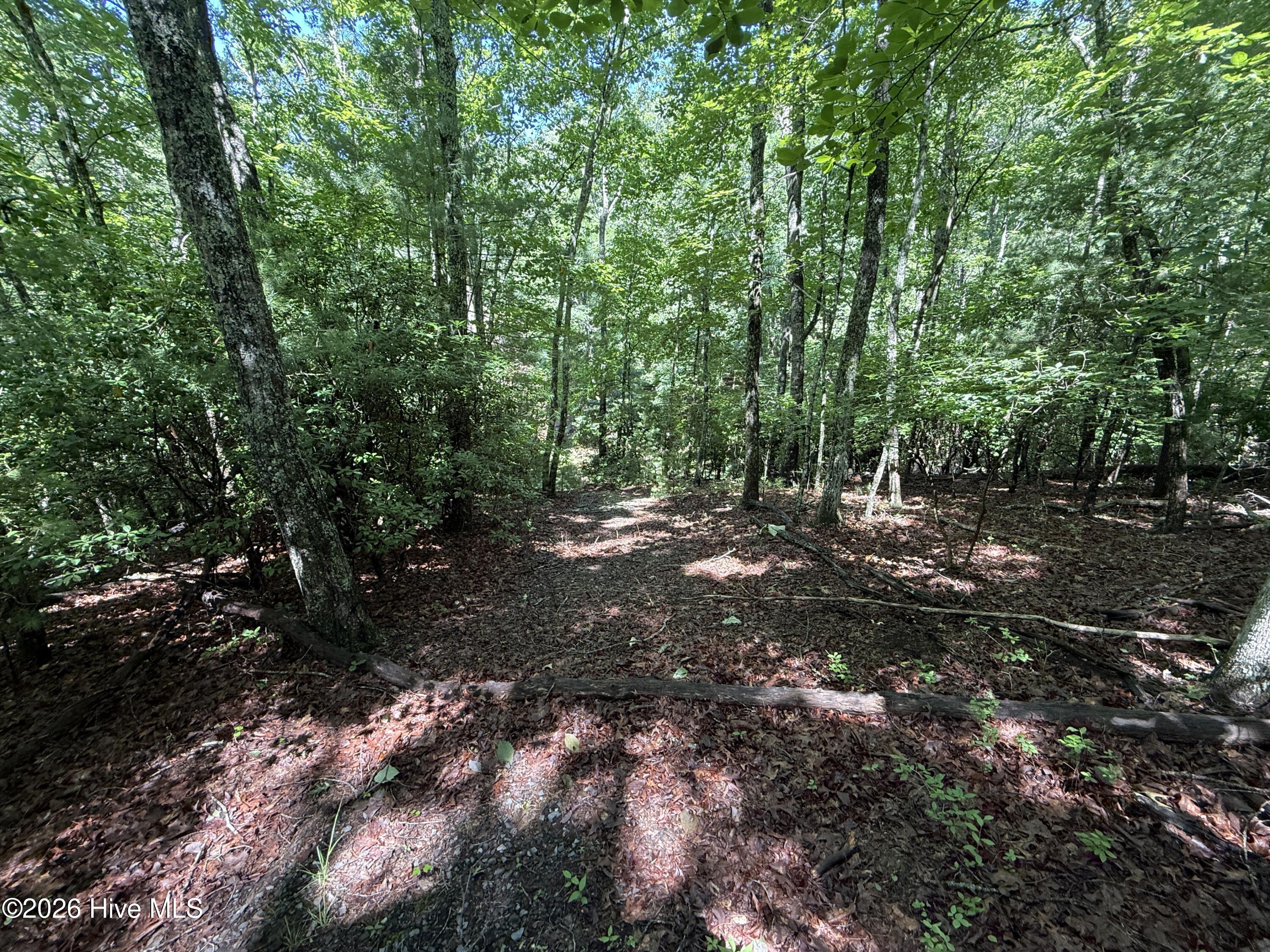 81 81d Roberts Road Property Photo 4