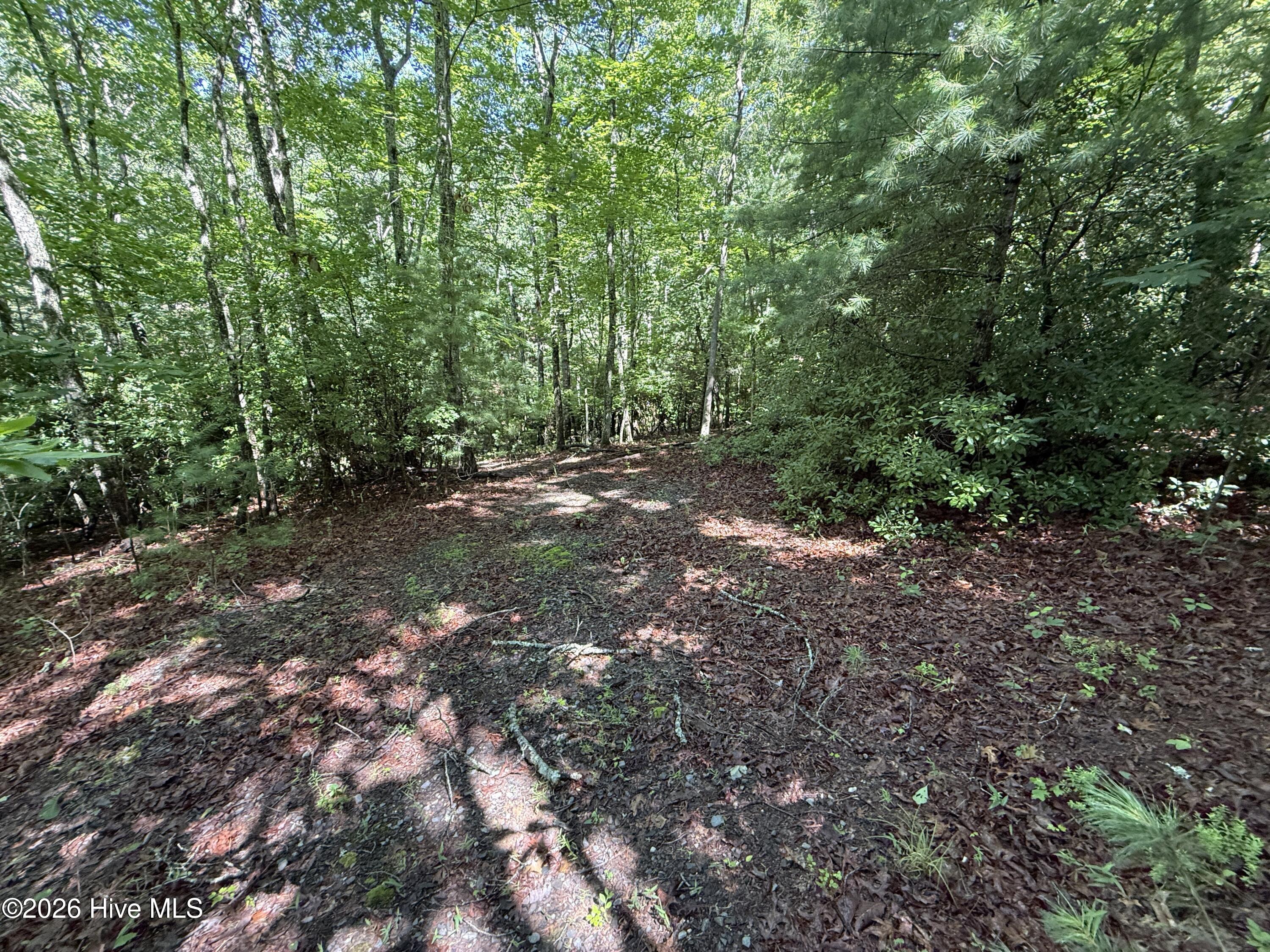 81 81d Roberts Road Property Photo 5