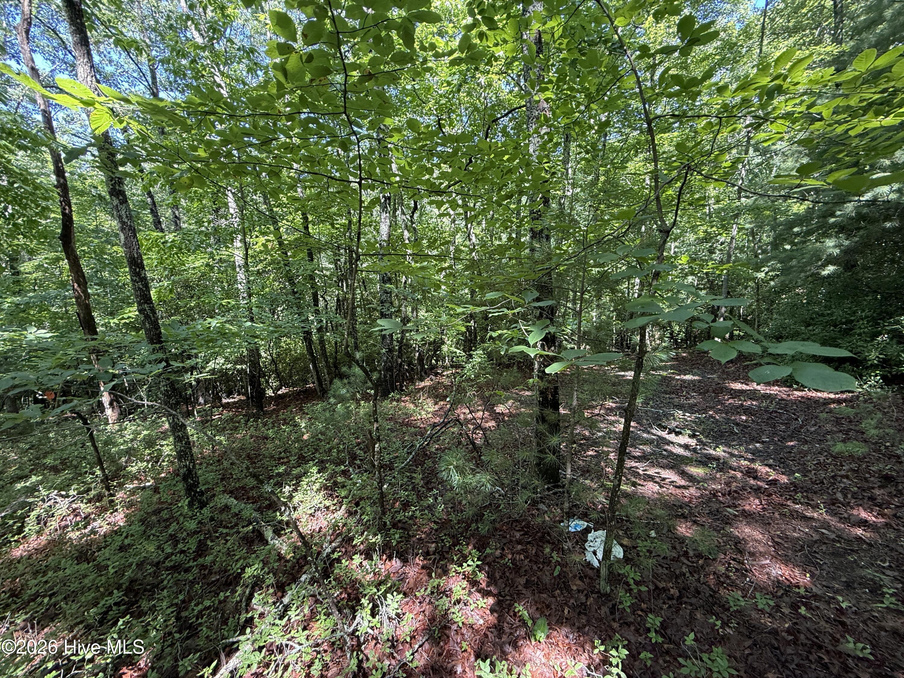 81 81d Roberts Road Property Photo 6
