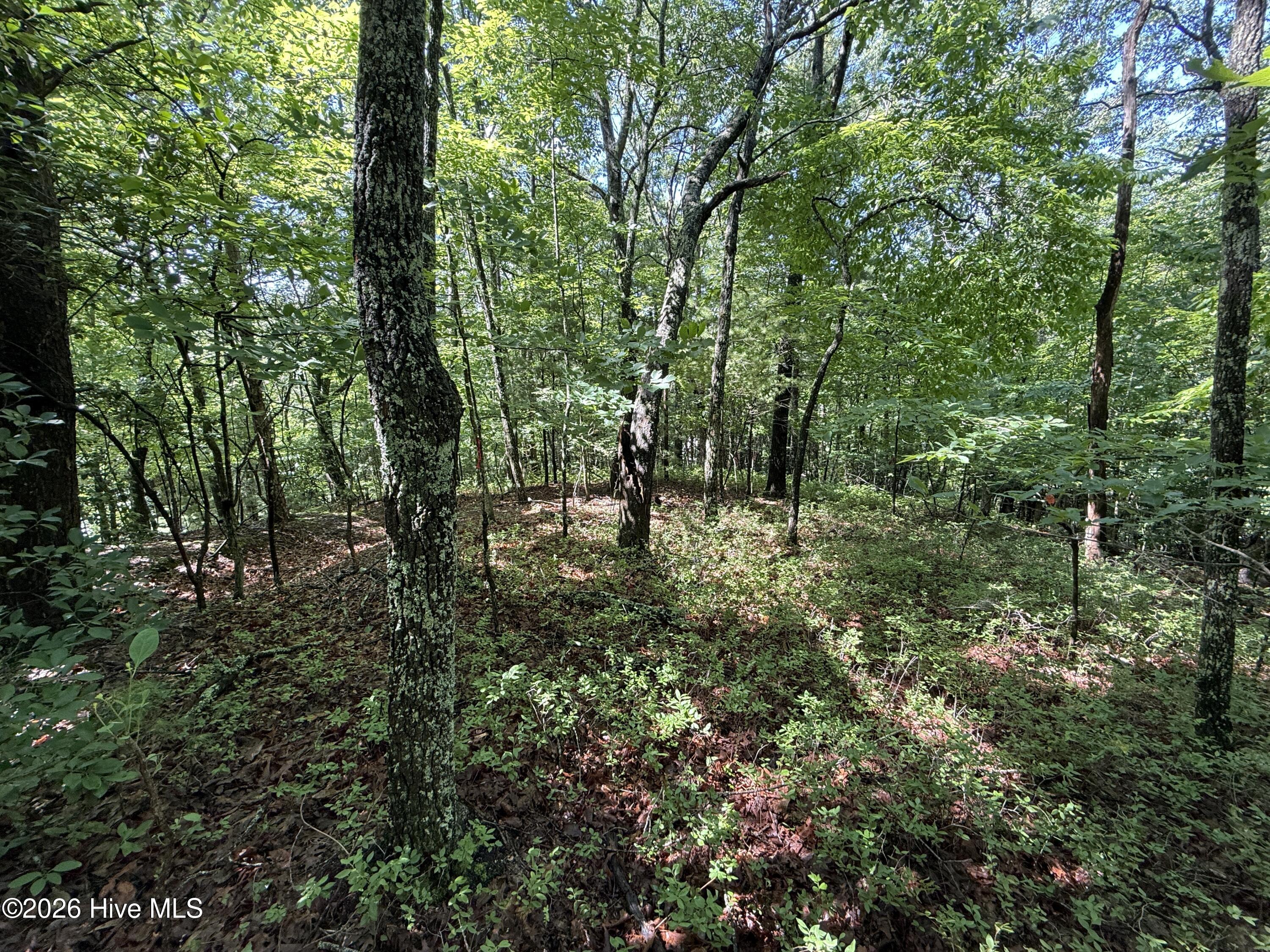 81 81d Roberts Road Property Photo 7