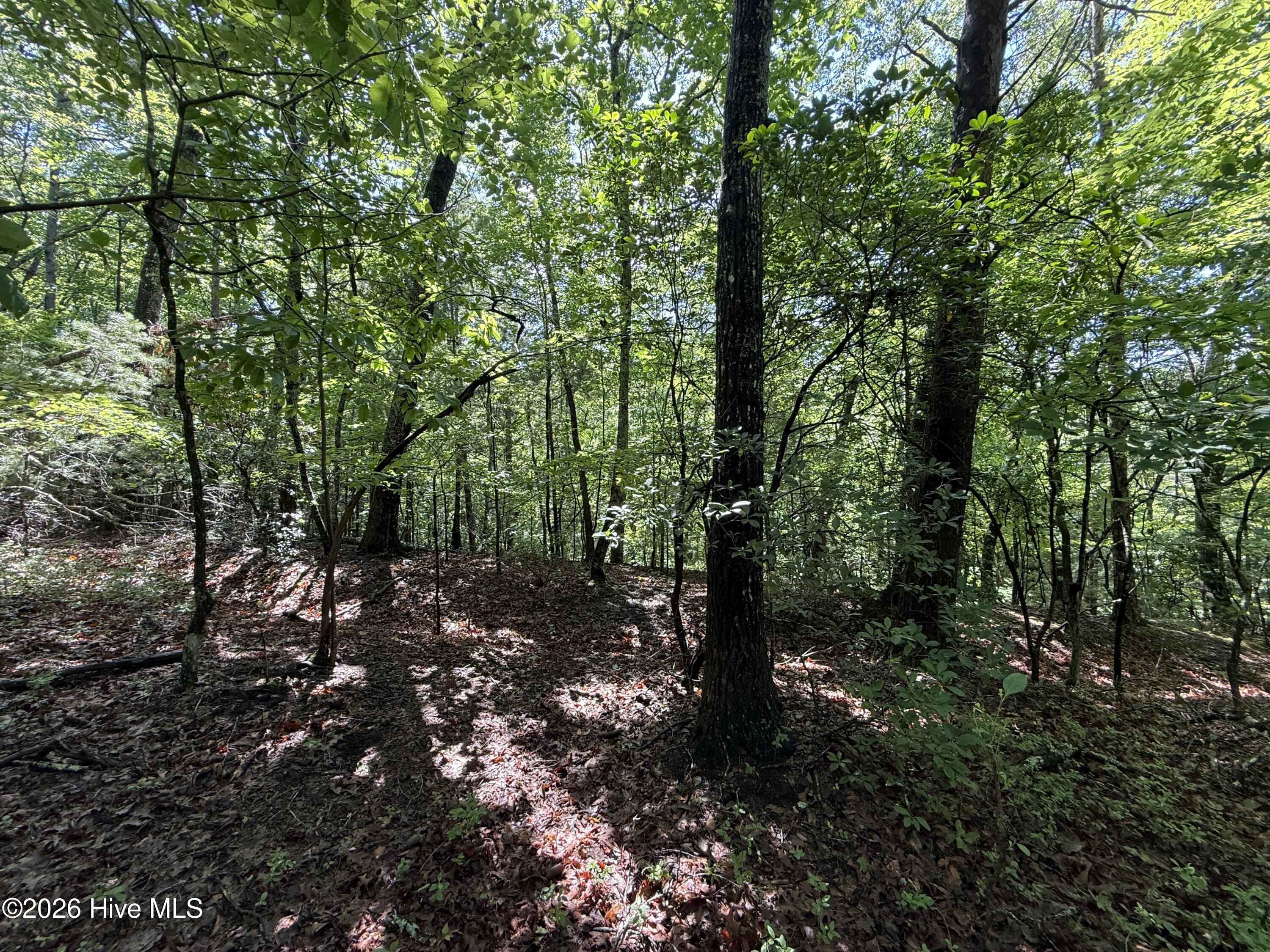 81 81d Roberts Road Property Photo 8