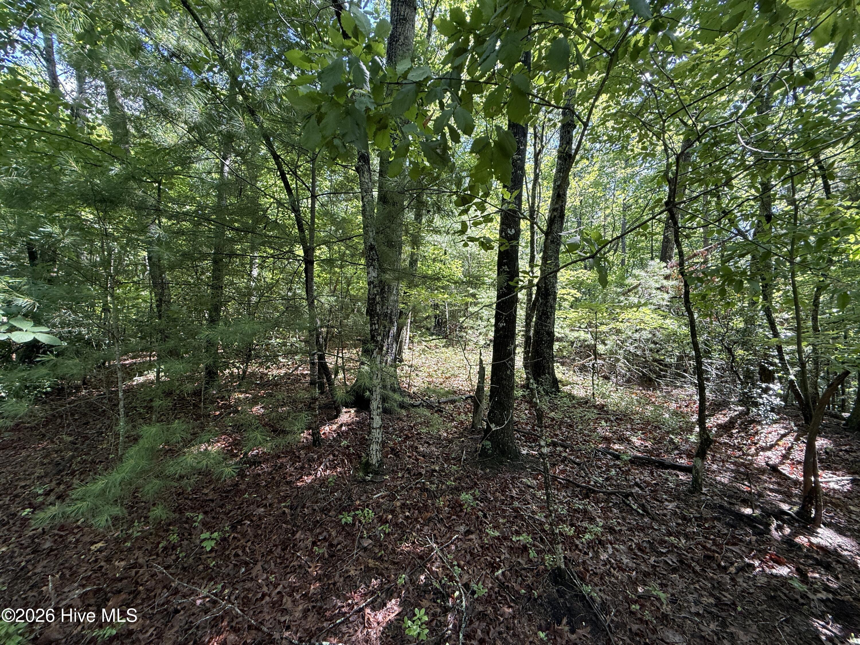81 81d Roberts Road Property Photo 9