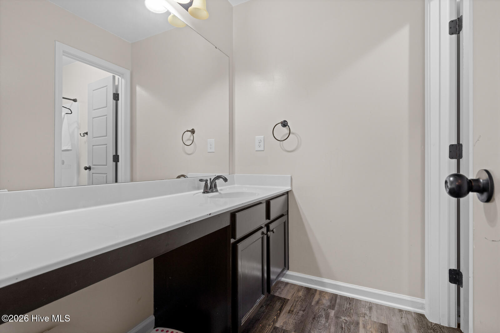 412 Cyrus Thompson Drive Property Photo 26