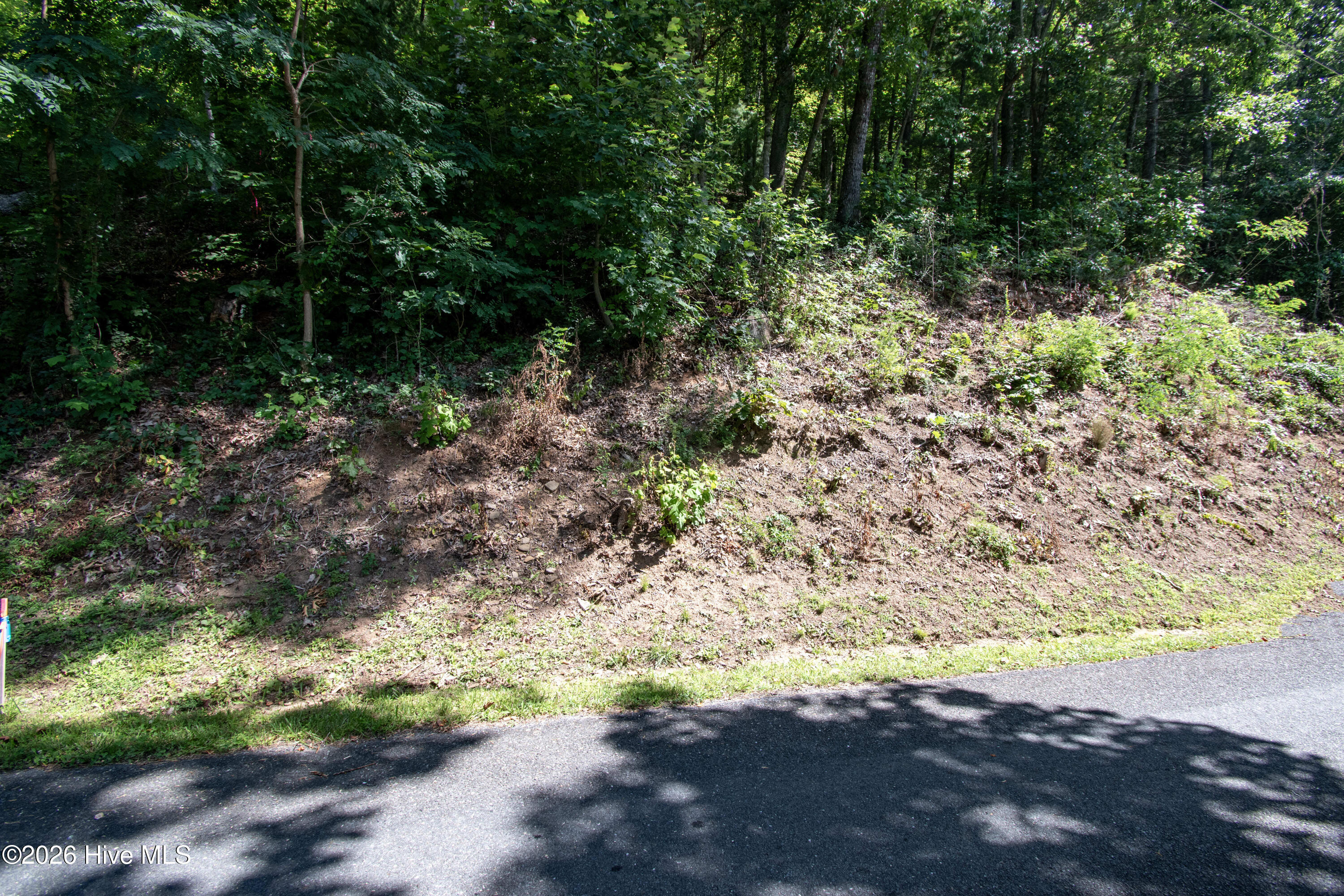 Lt 61 Cherokee Trail Property Photo 7