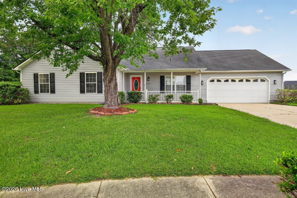 903 Gum Branch Court Property Photo 2