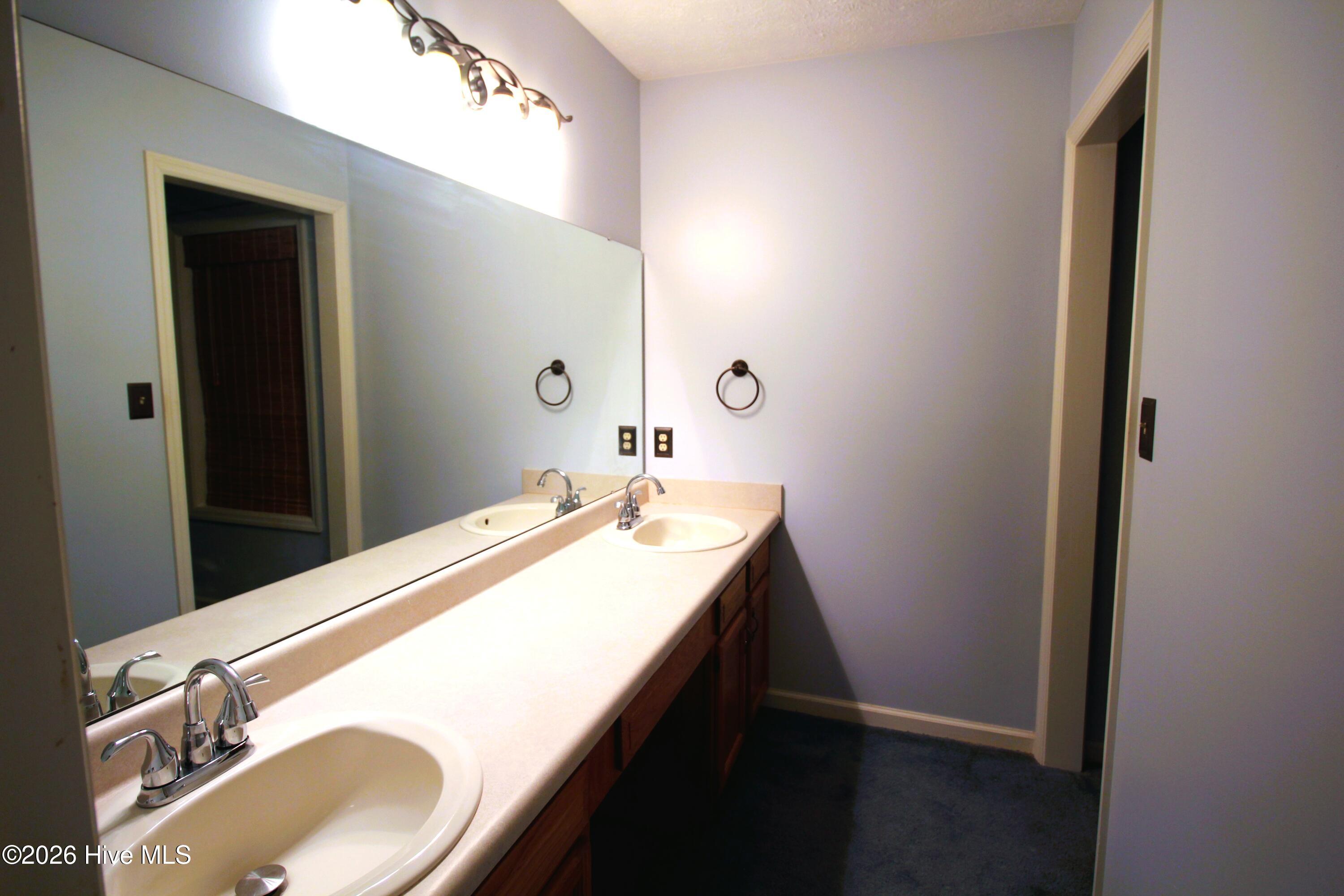 903 Gum Branch Court Property Photo 21