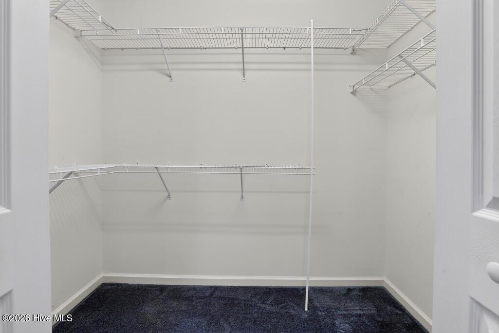 903 Gum Branch Court Property Photo 41