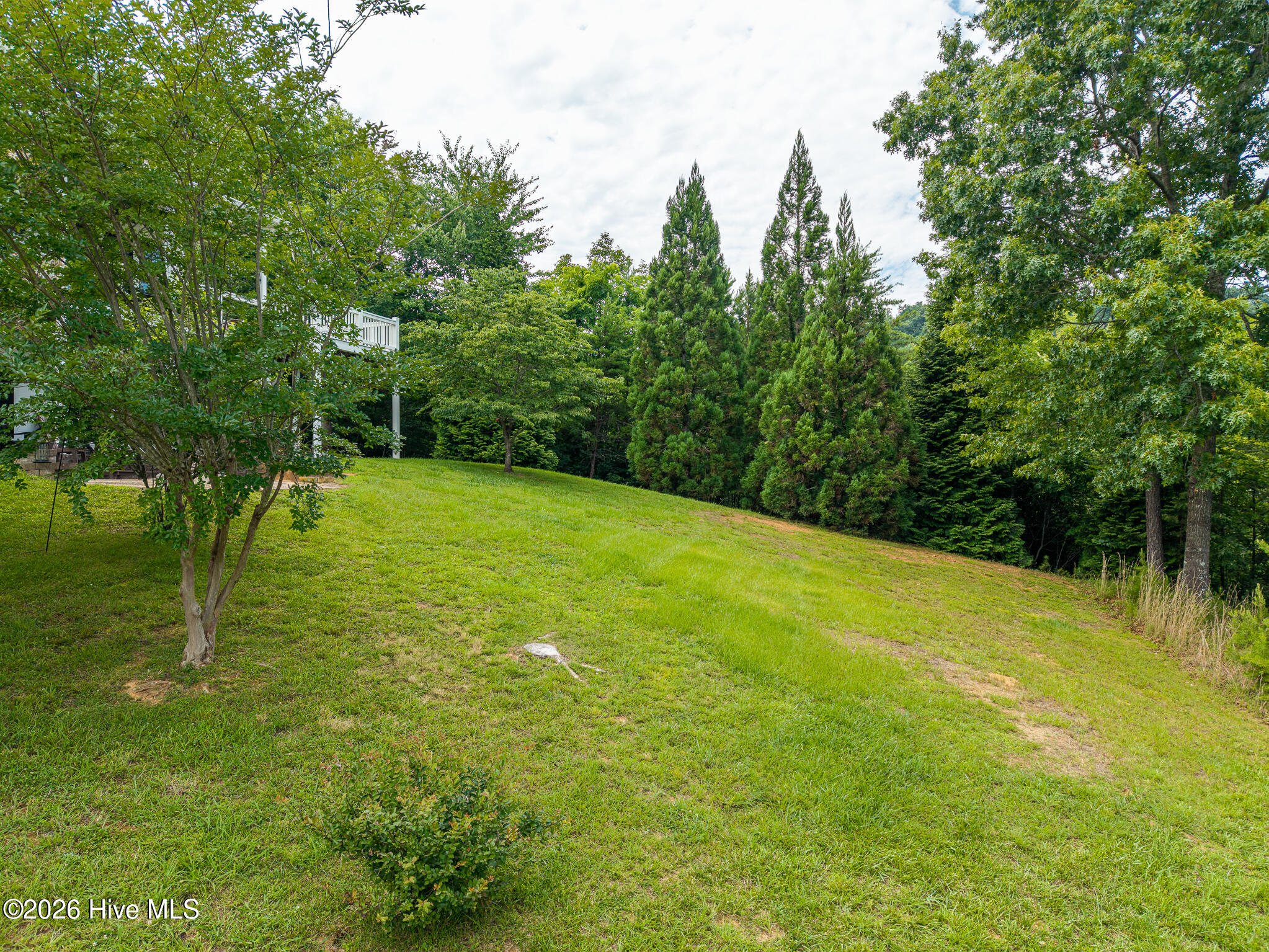 82 Jay Bird Way Property Photo 68