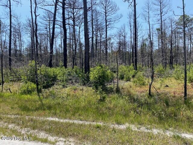799 73 Jasmine Road Property Photo 1