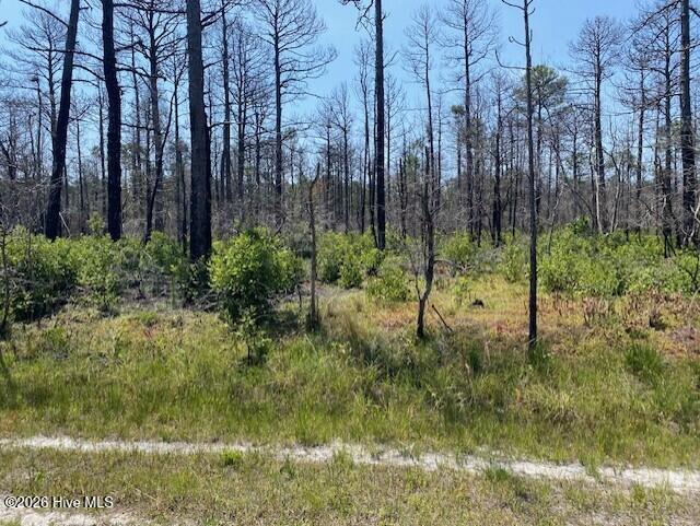 799 73 Jasmine Road Property Photo 2