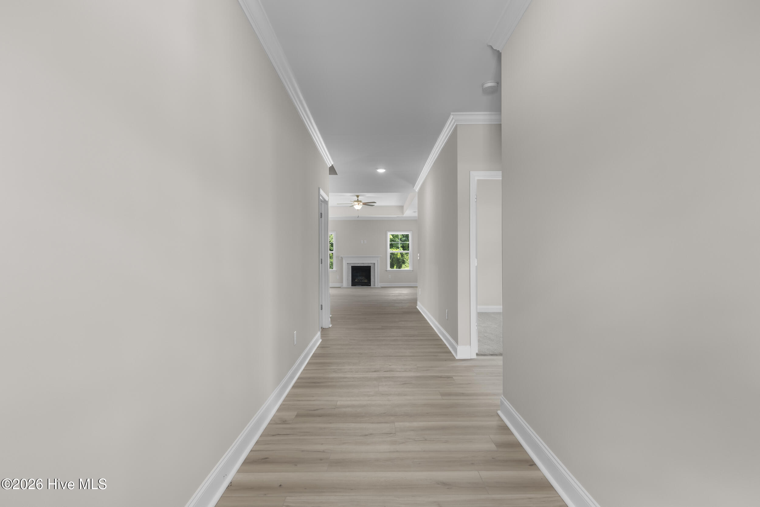 356 Hardison Road Property Photo 34