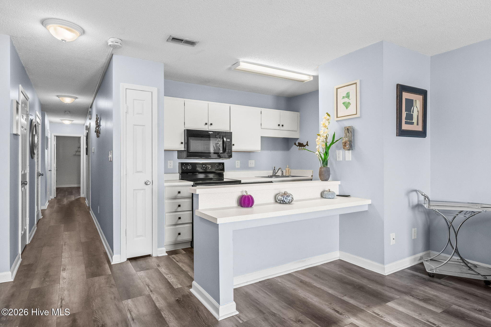 207 Double Eagle Drive # E-2 Property Photo 9