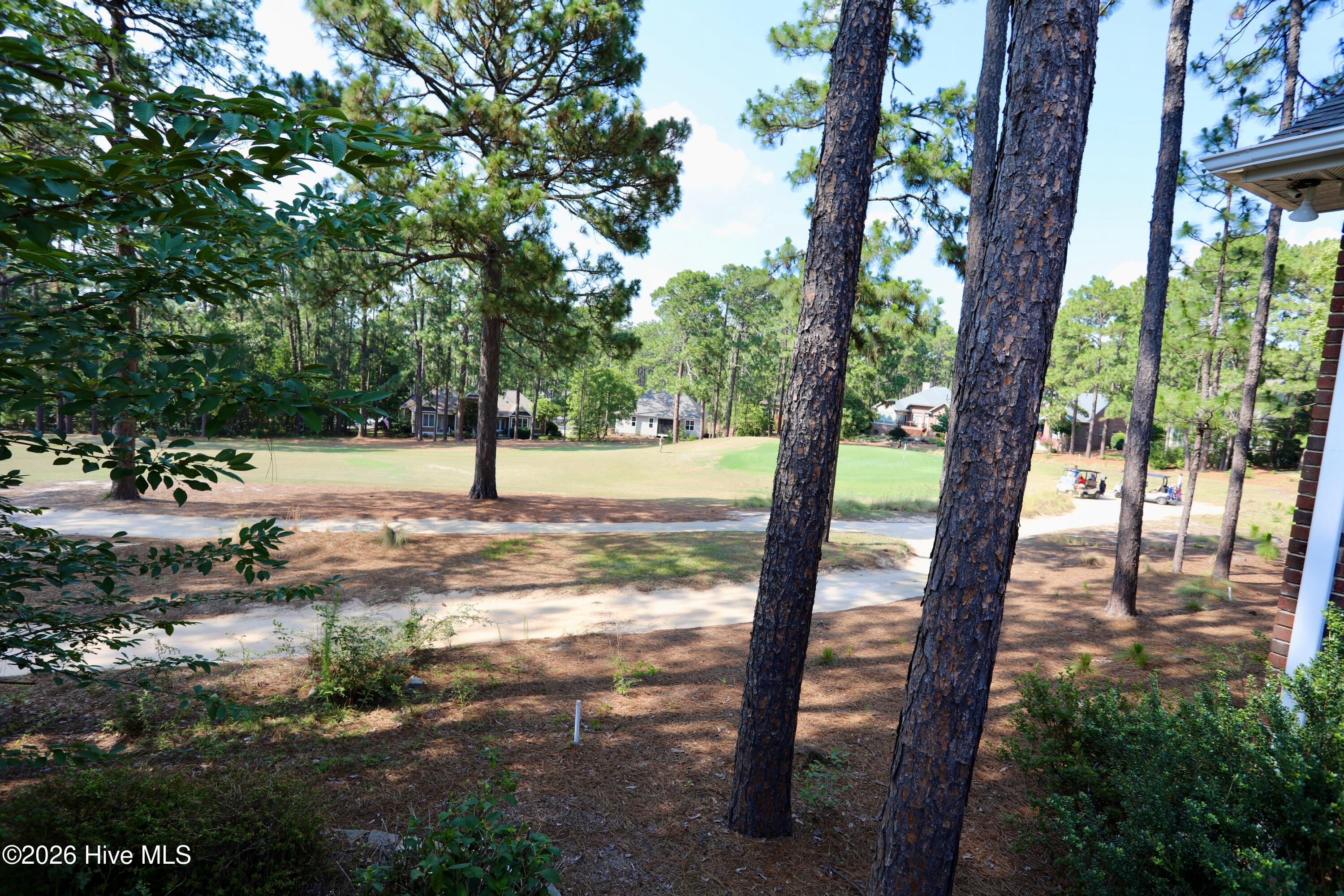 160 Hunter Trail Property Photo 10