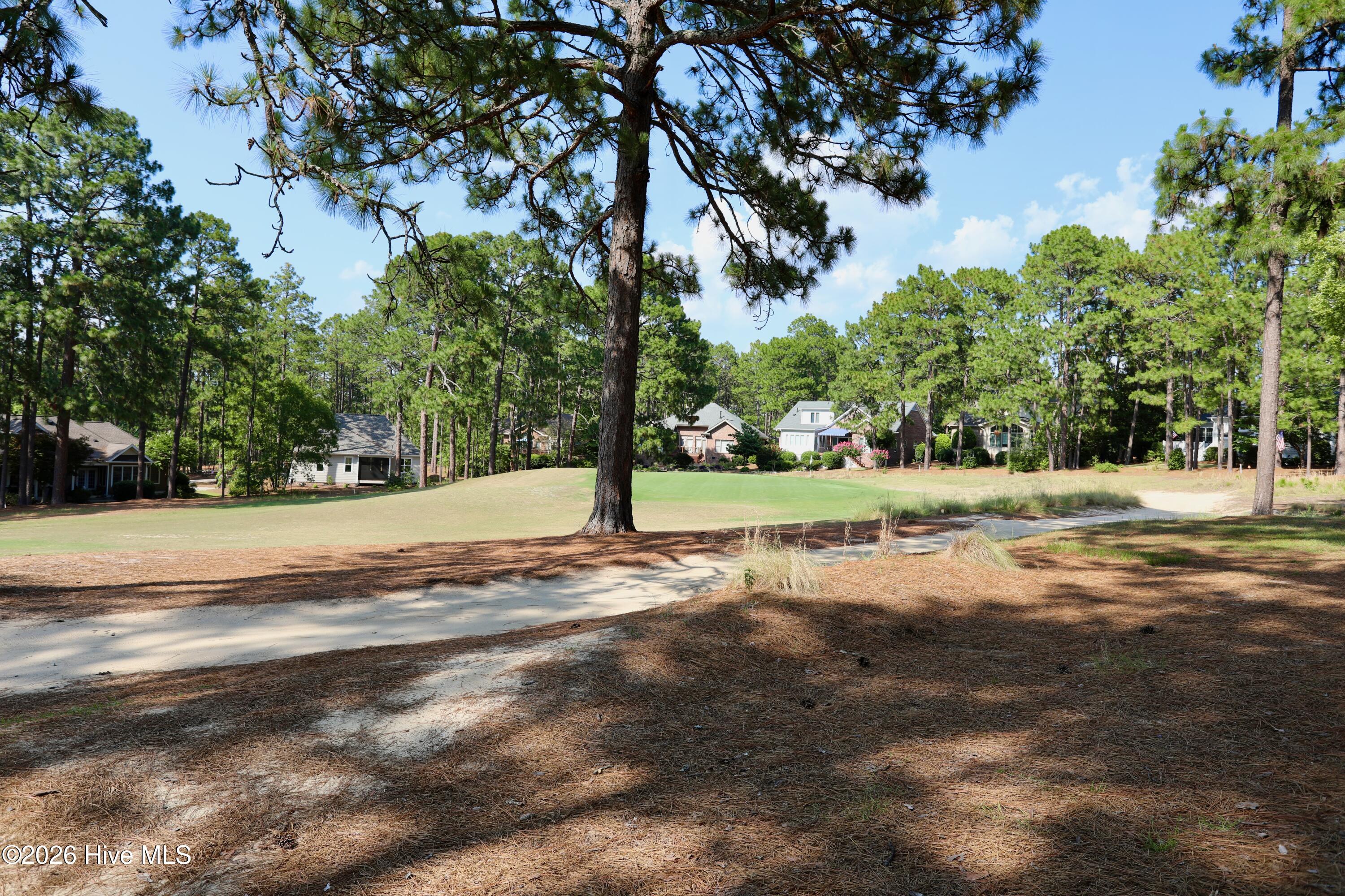 160 Hunter Trail Property Photo 22