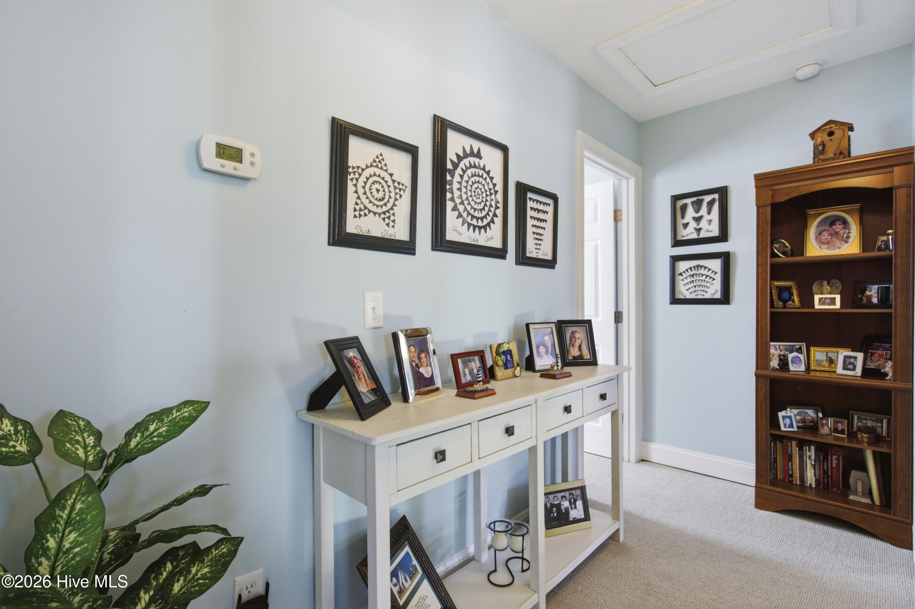 303 Baffle Court Property Photo 43