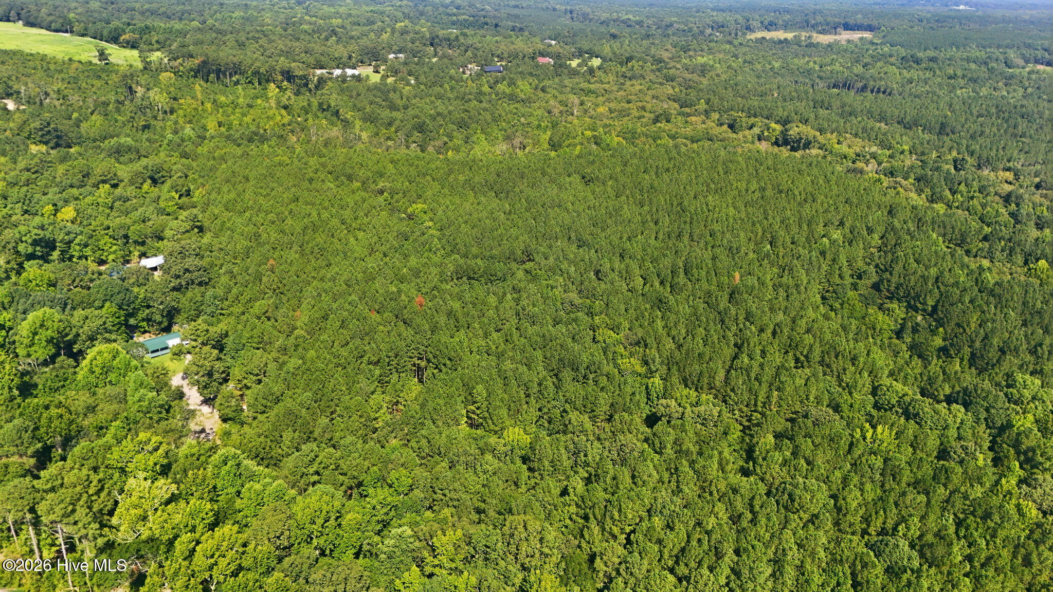 Off Pats Road Property Photo 7