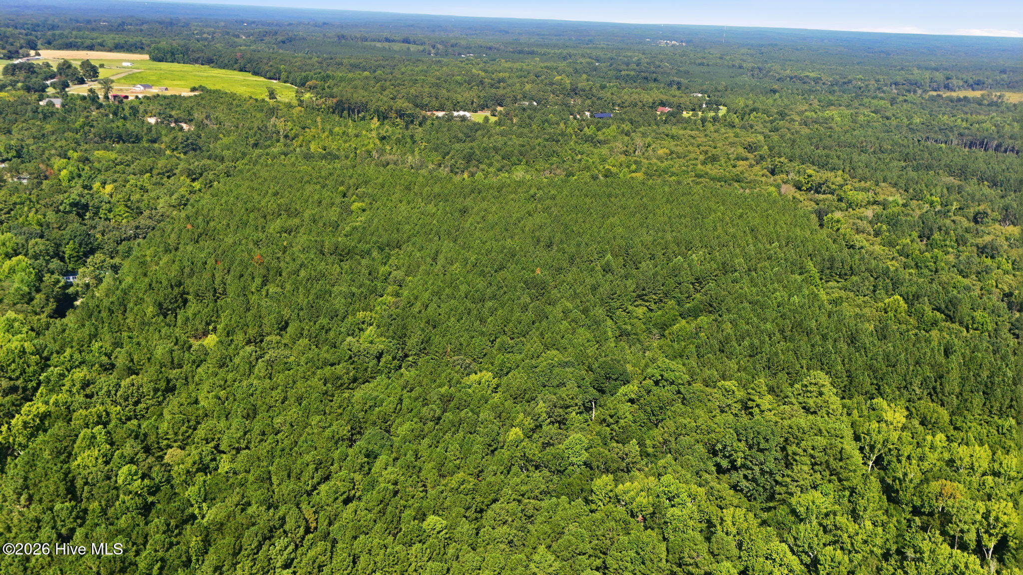 Off Pats Road Property Photo 8