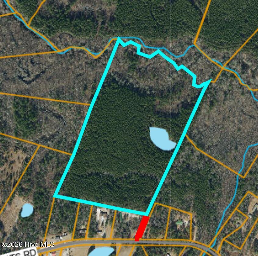 Off Pats Road Property Photo 17