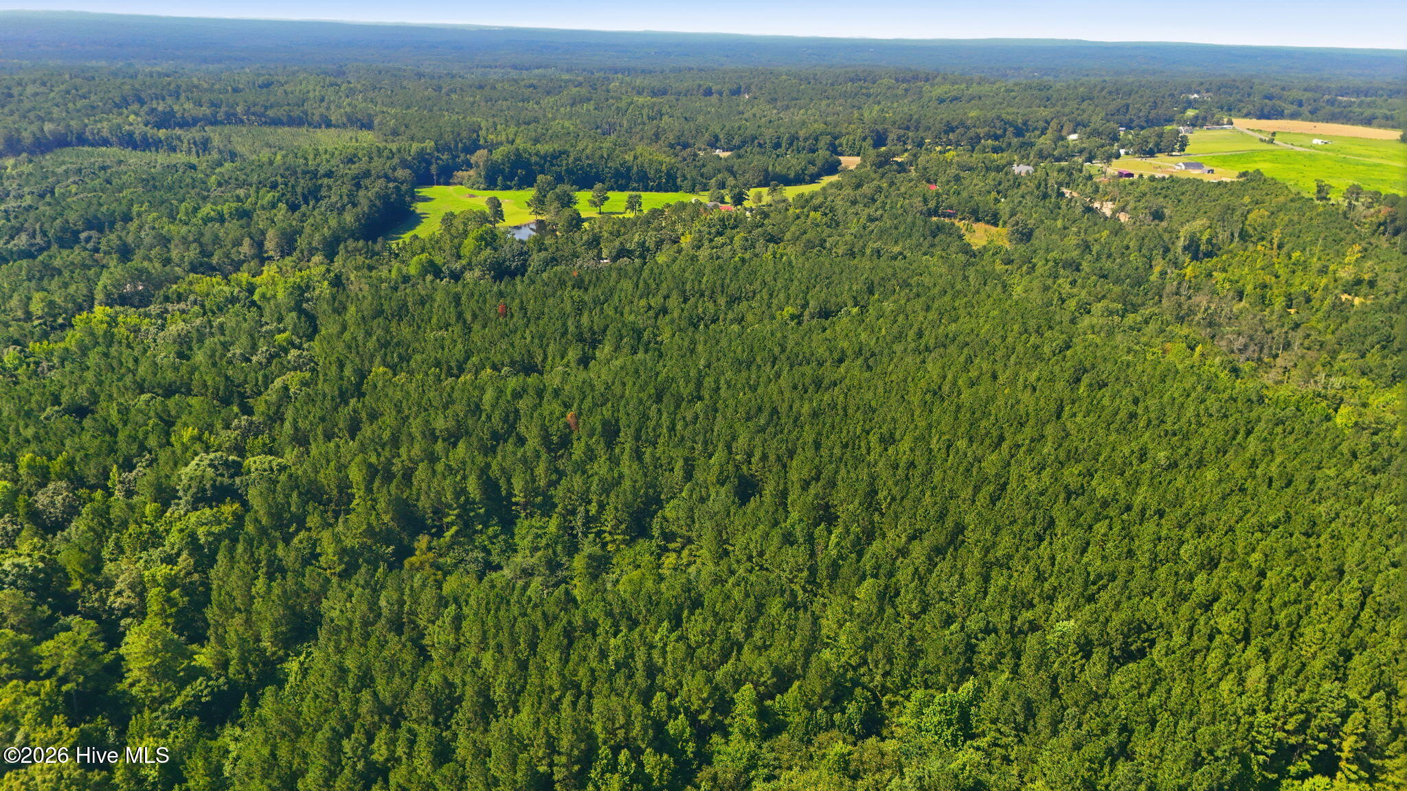 Off Pats Road Property Photo 21