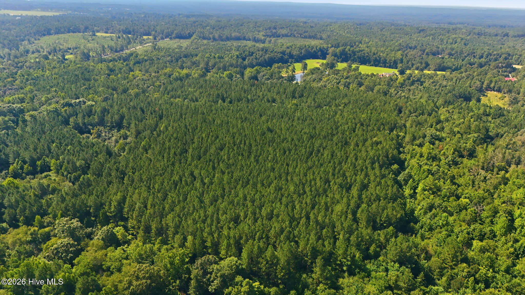 Off Pats Road Property Photo 23