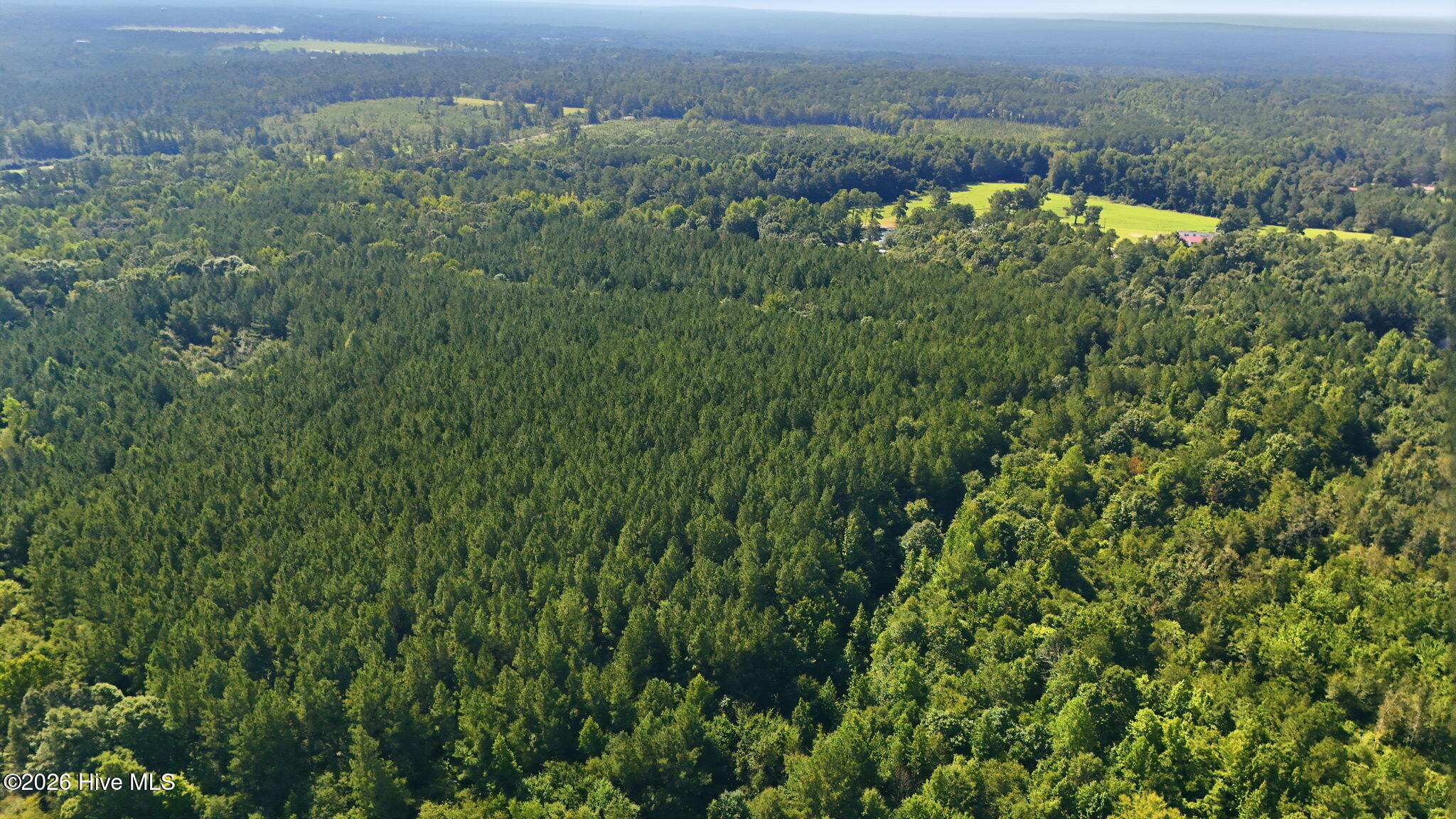 Off Pats Road Property Photo 24
