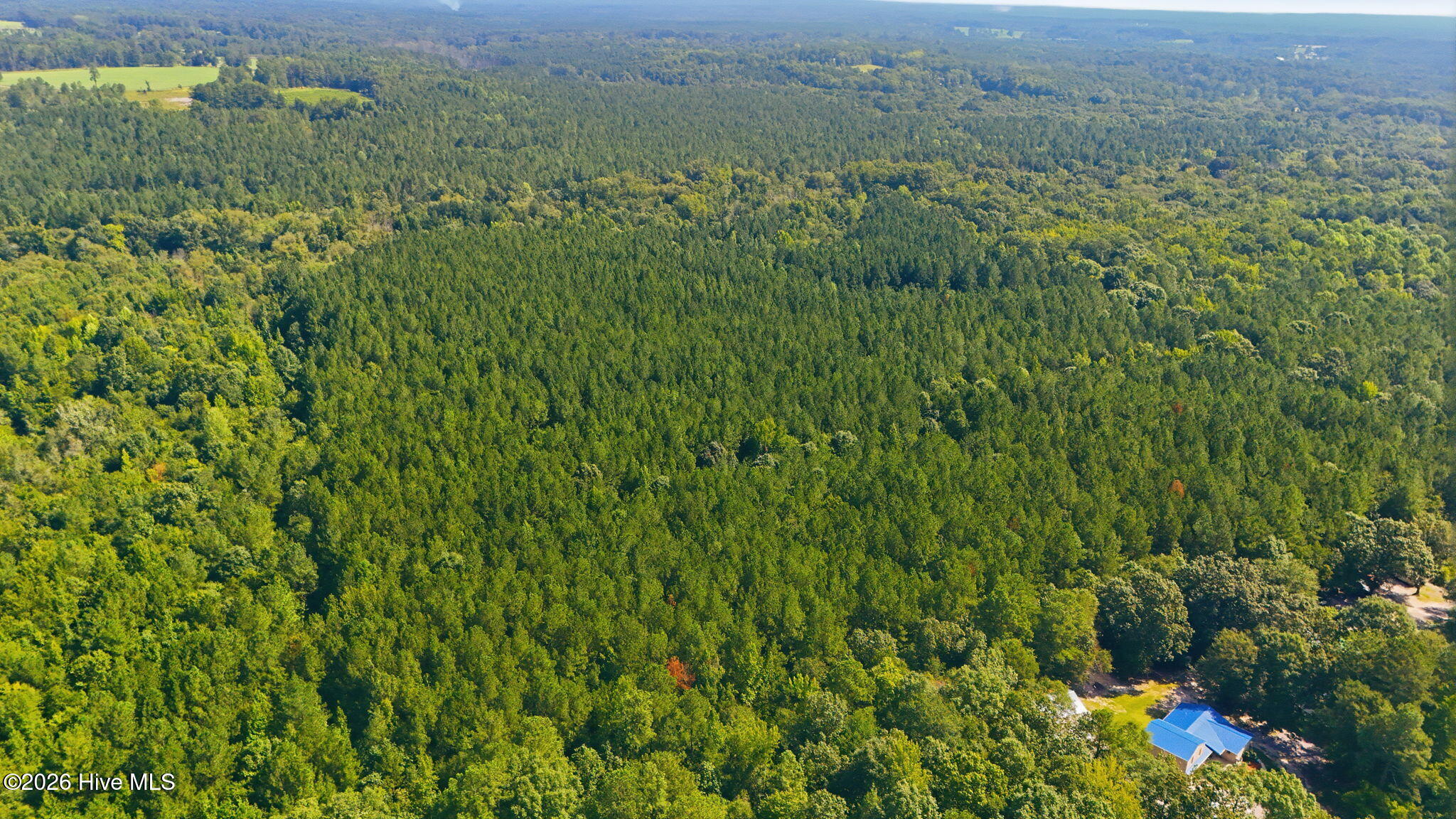 Off Pats Road Property Photo 25