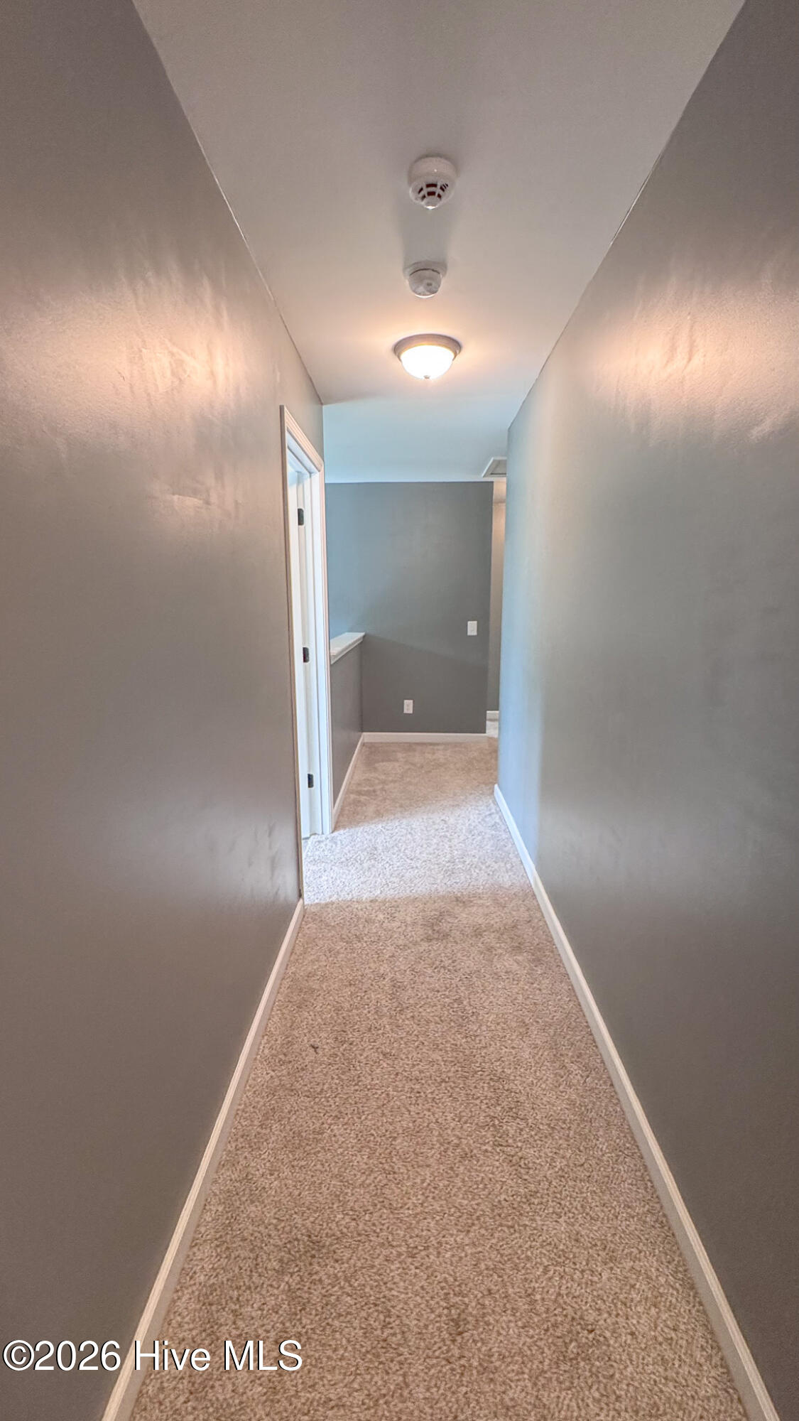103 Cloud 9 Drive Property Photo 32