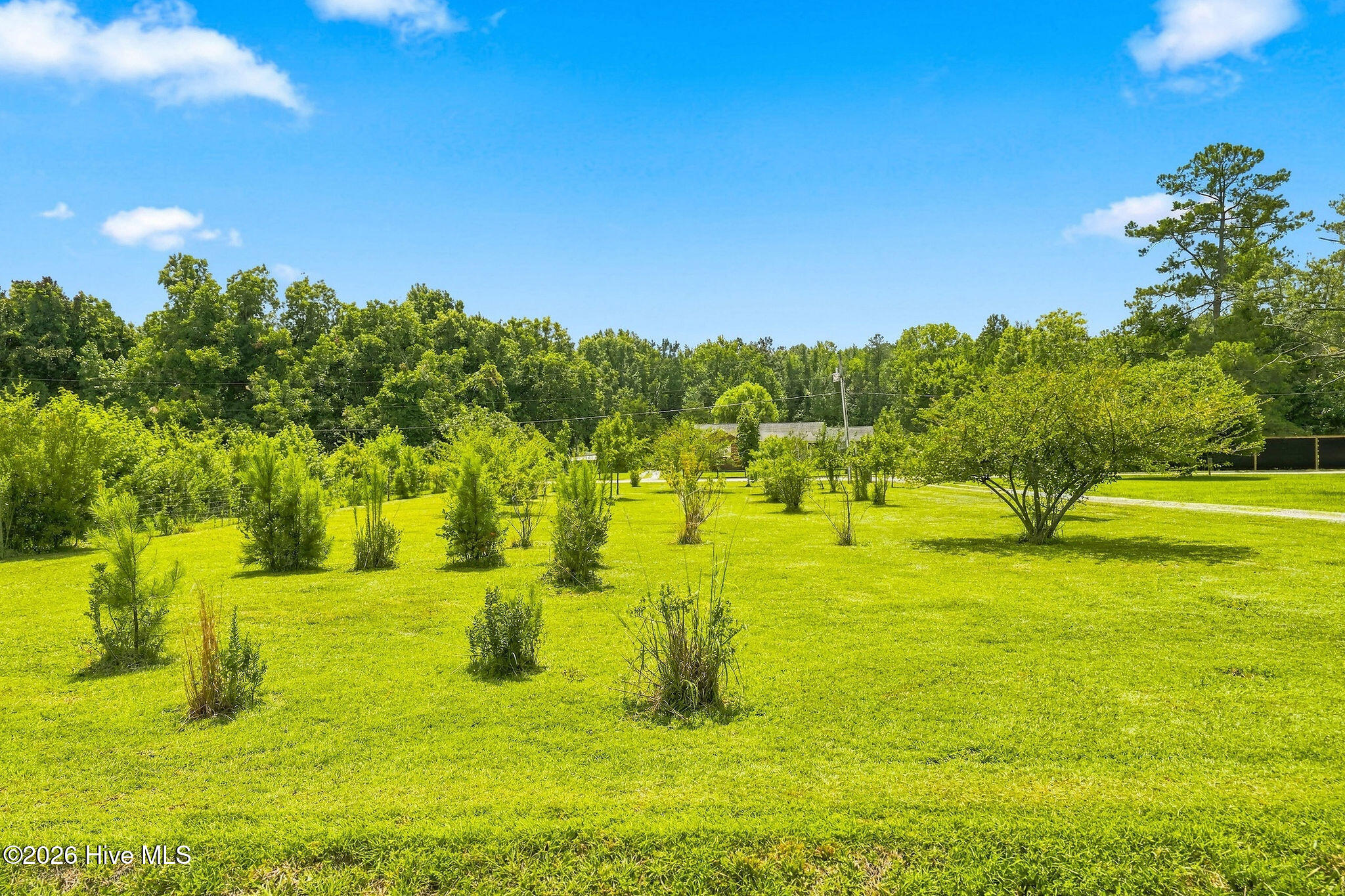 1101 Porters Lane Road Property Photo 11