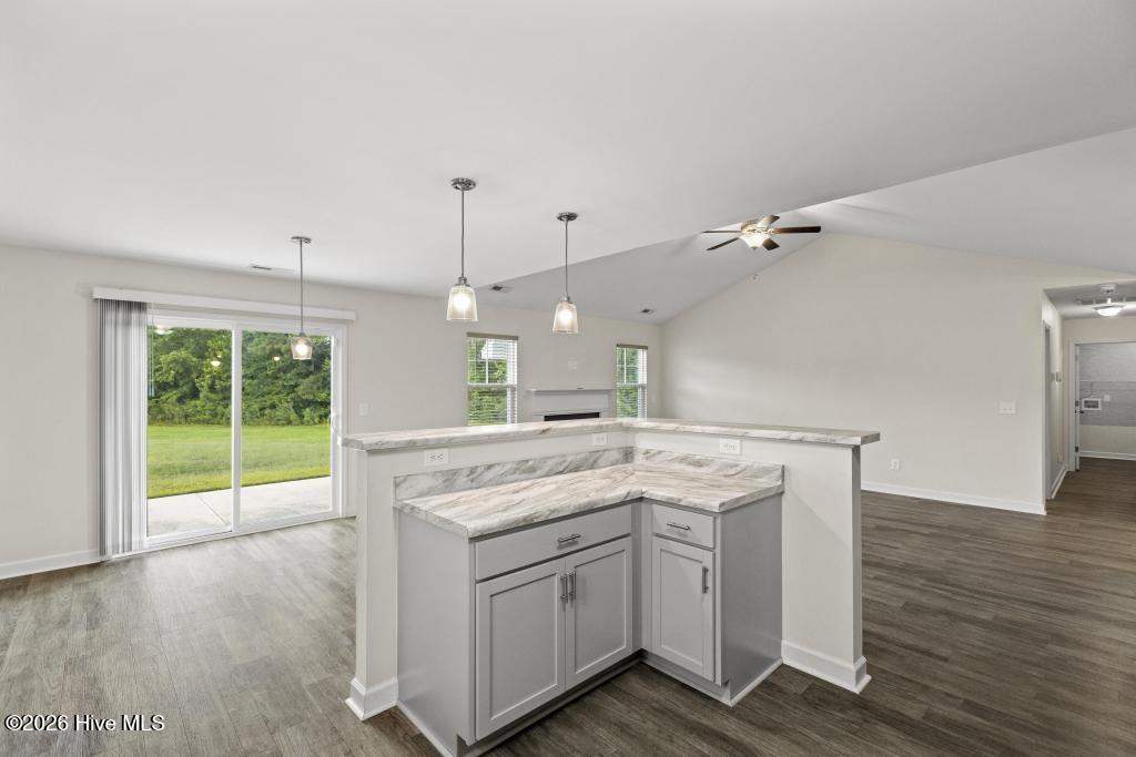 514 Isaac Branch Drive Property Photo 8