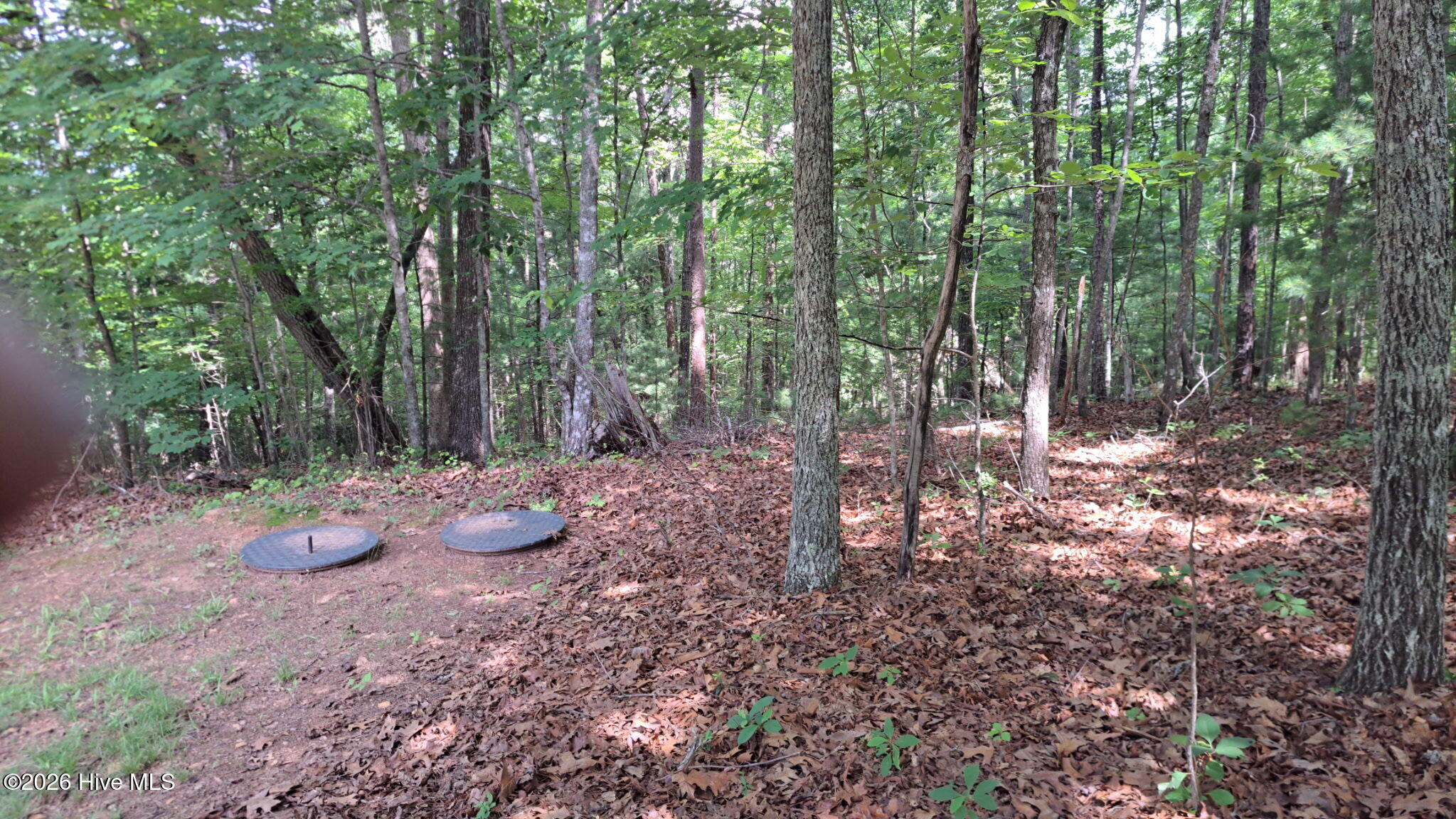 31 Acres Upper Bear Paw Road Property Photo 8