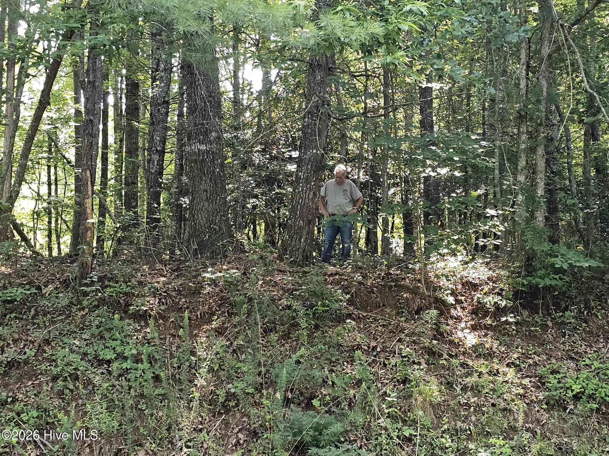 31 Acres Upper Bear Paw Road Property Photo 15