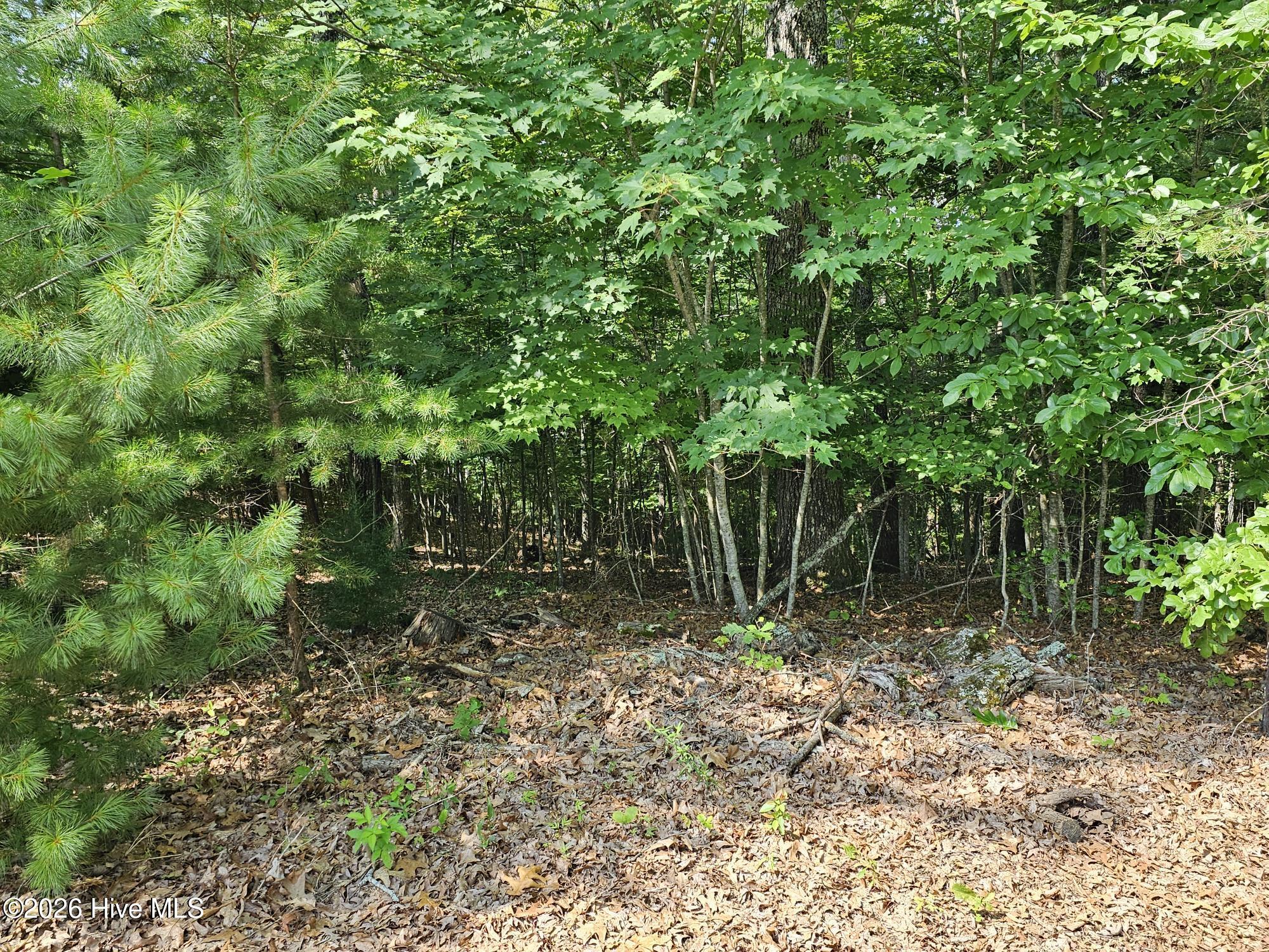 31 Acres Upper Bear Paw Road Property Photo 19