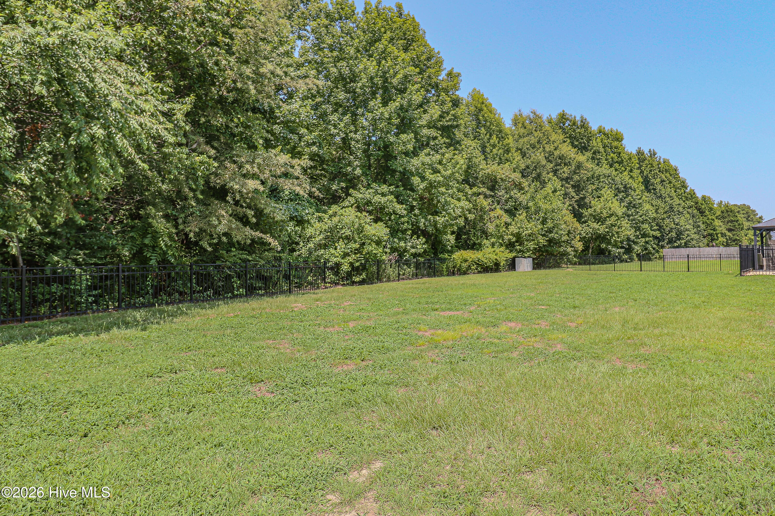 222 Timberline Oak Drive Property Photo 20