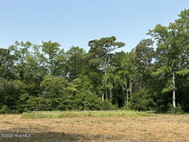 4671 Richlands Highway Property Photo 6