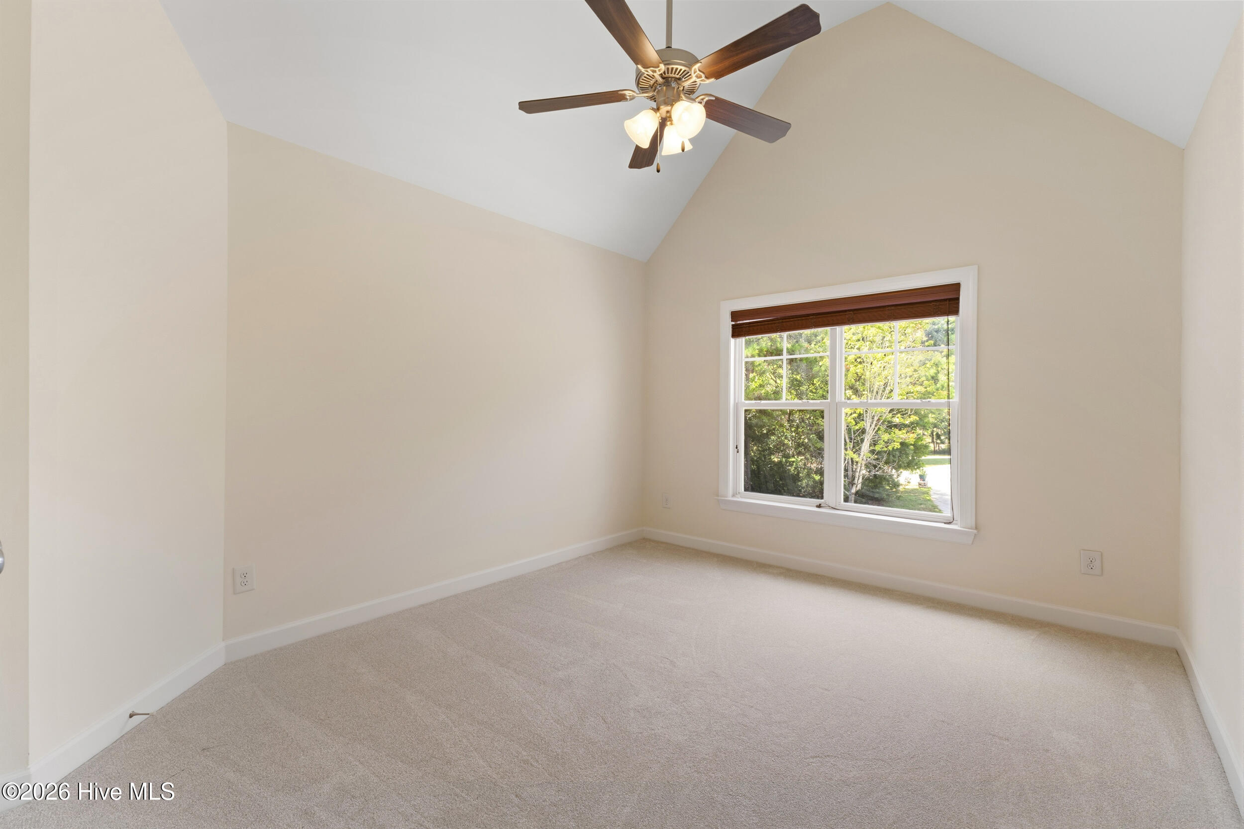 107 Dolphin View Court Property Photo 25