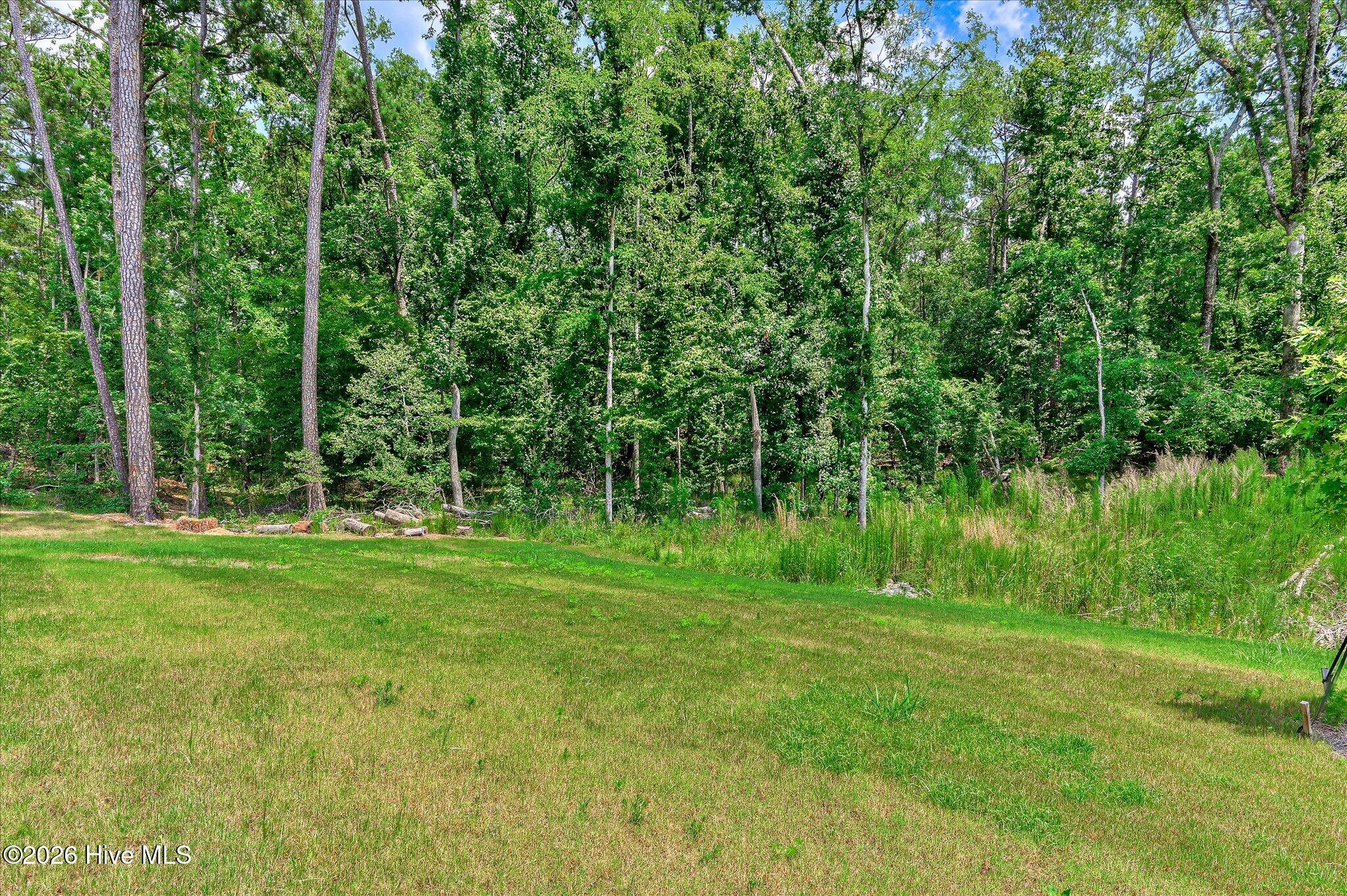 430 Bronco Pass Property Photo 33
