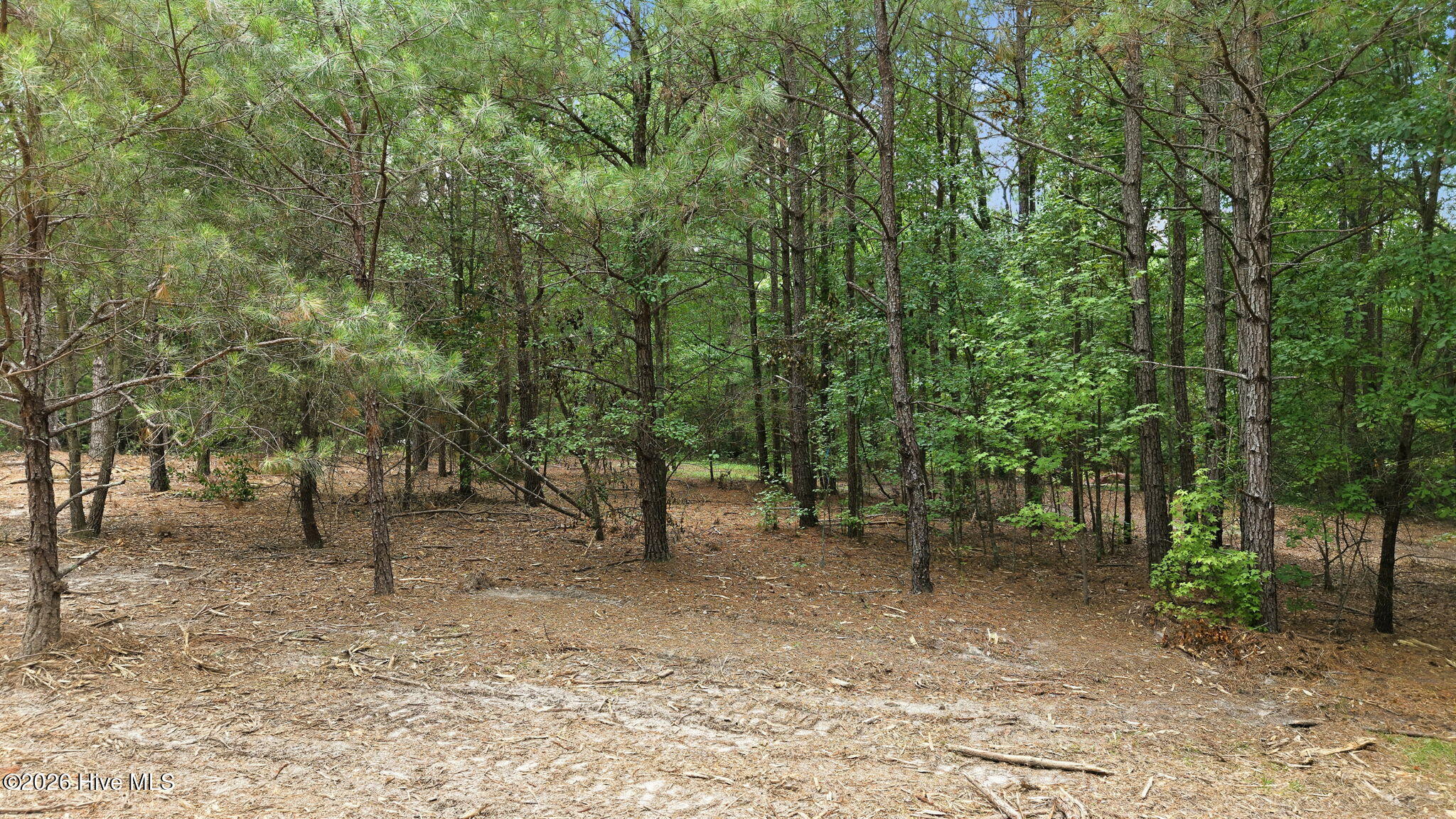 329 Cypress Farm Road Property Photo 10