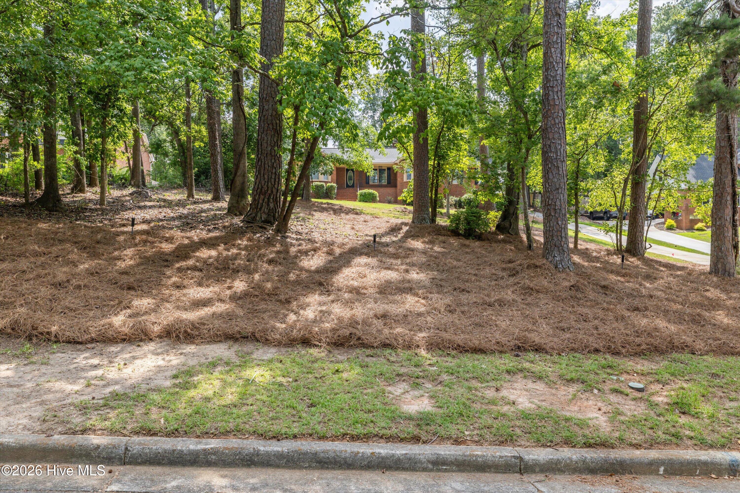 223 Old Mill Road Property Photo 5