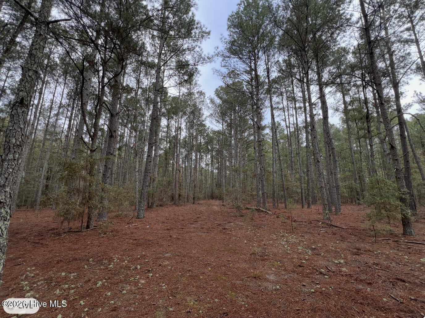 00 Lot 1. 17.93 +- Ac Garland Highway Property Photo 1