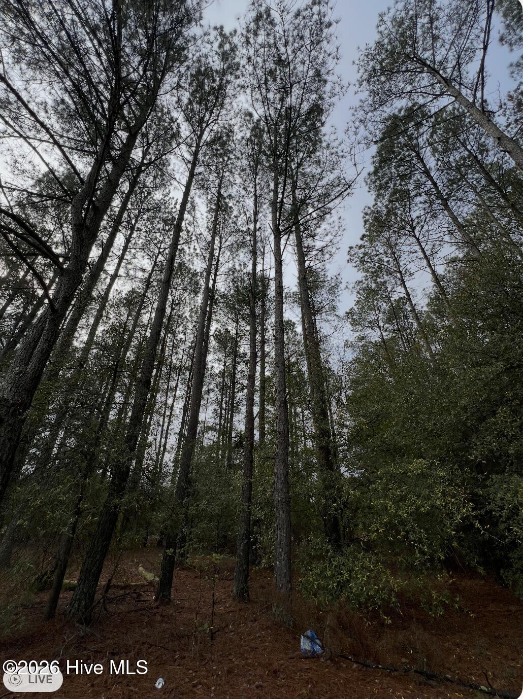 00 Lot 1. 17.93 +- Ac Garland Highway Property Photo 5
