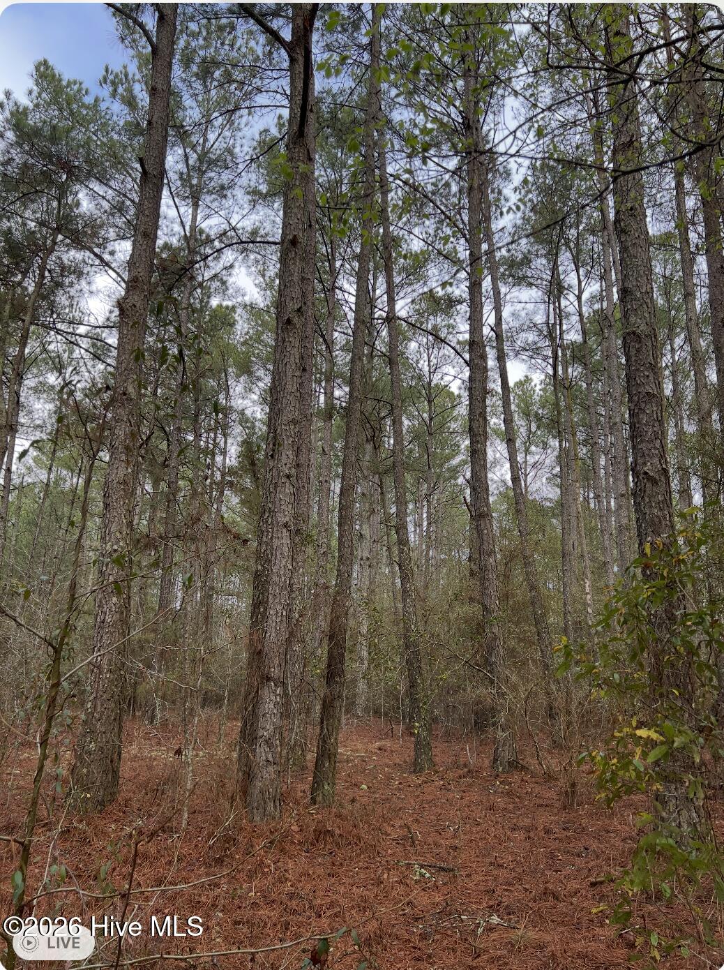 00 Lot 1. 17.93 +- Ac Garland Highway Property Photo 6